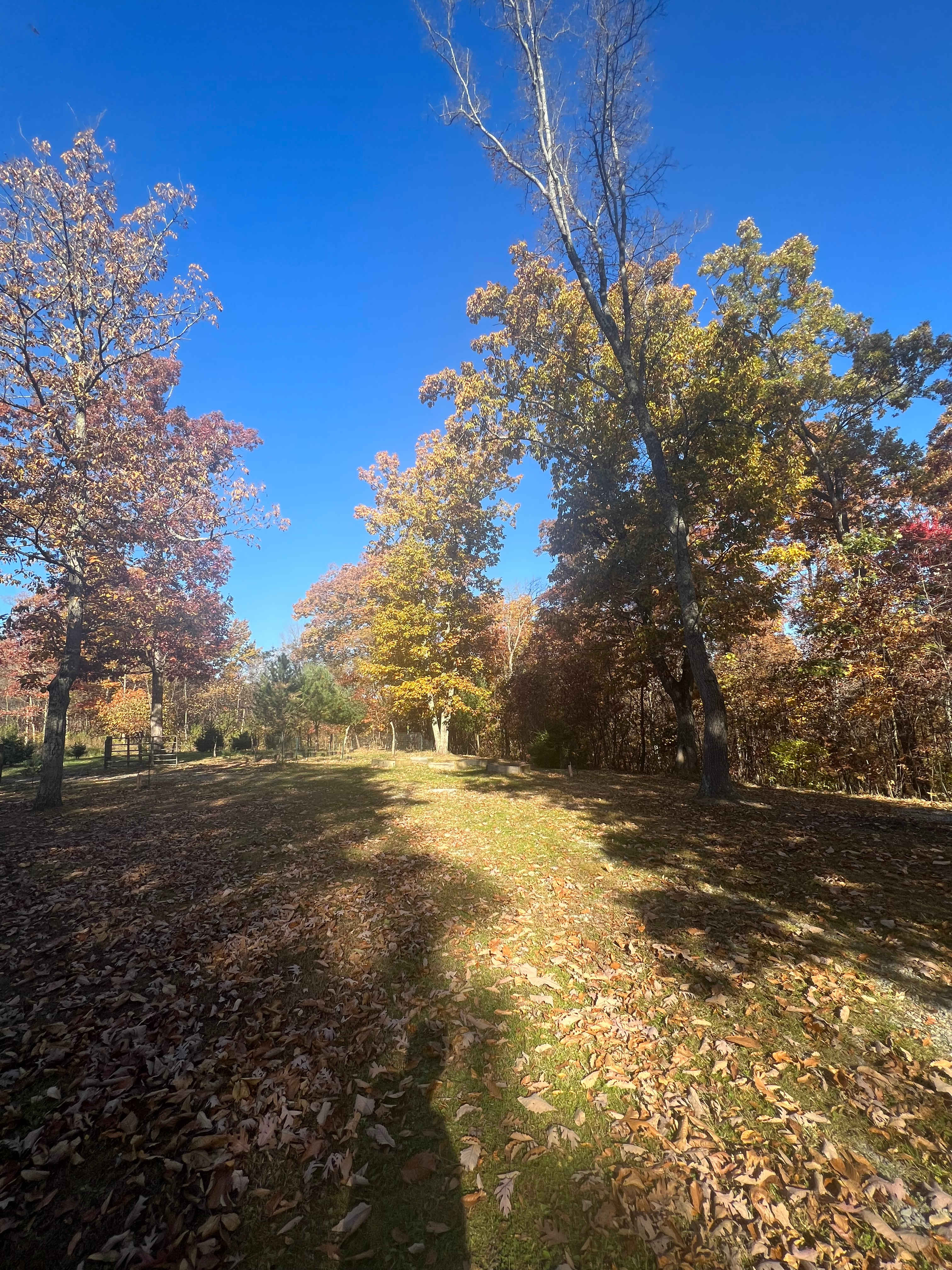 The Land