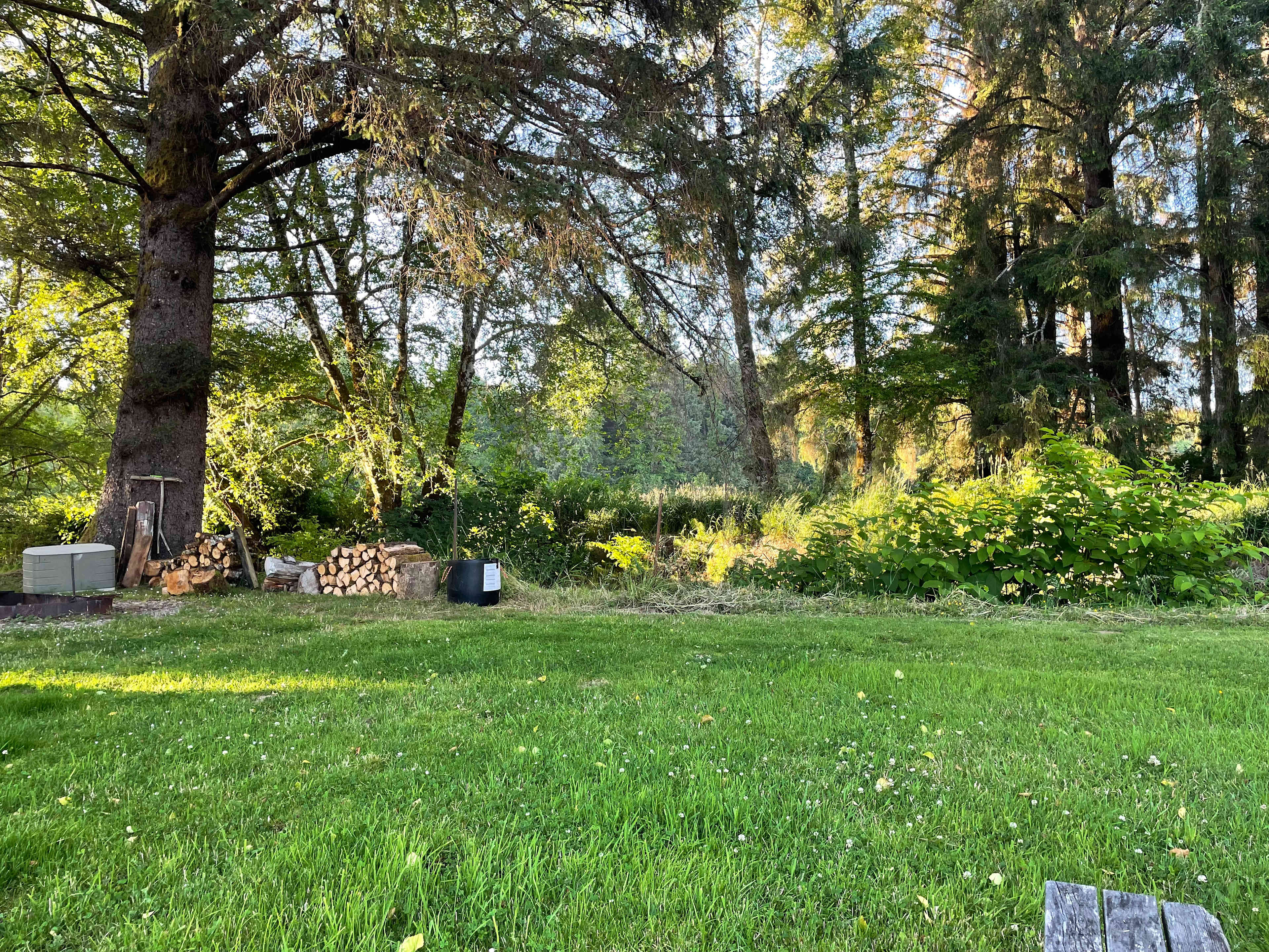 Williams Park campground