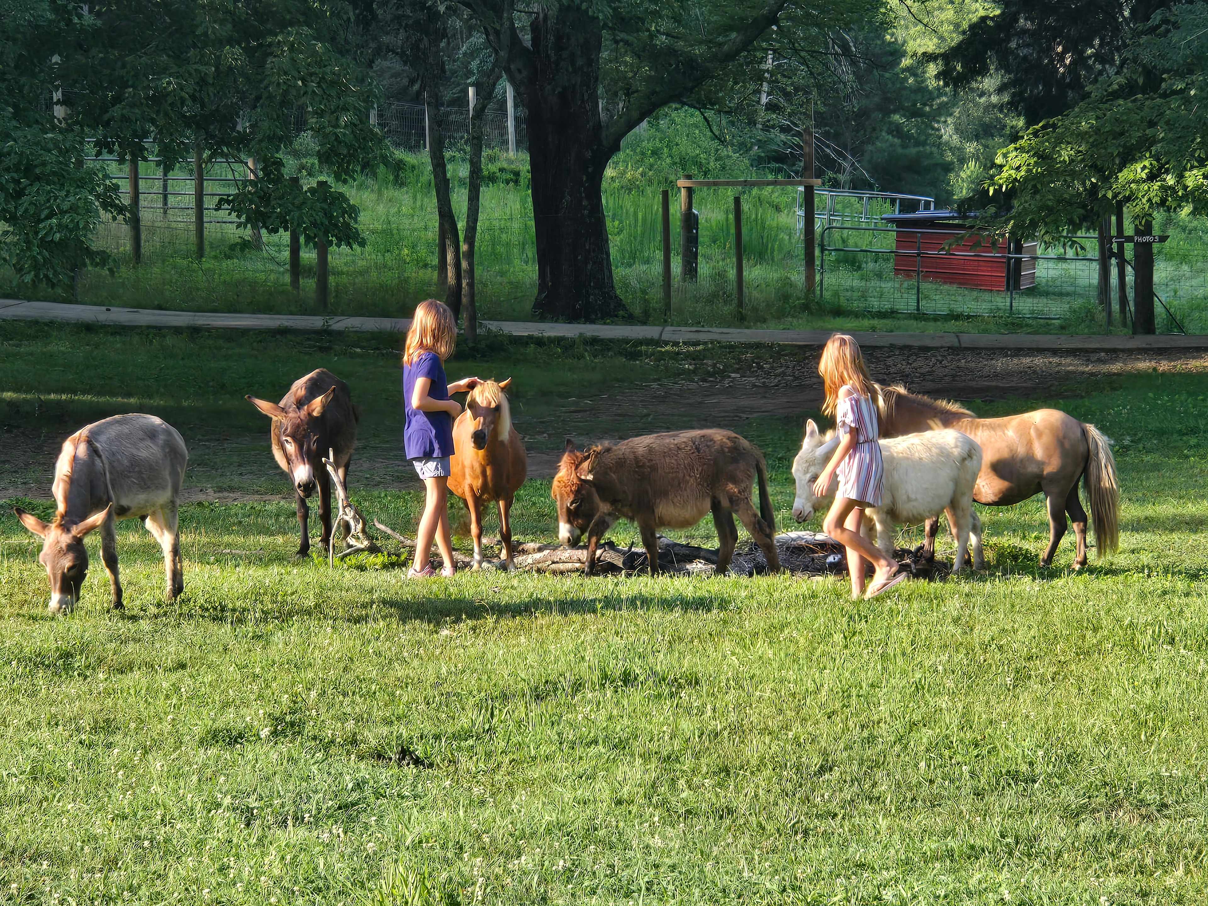 Magnolia Campground at Hixson Farms