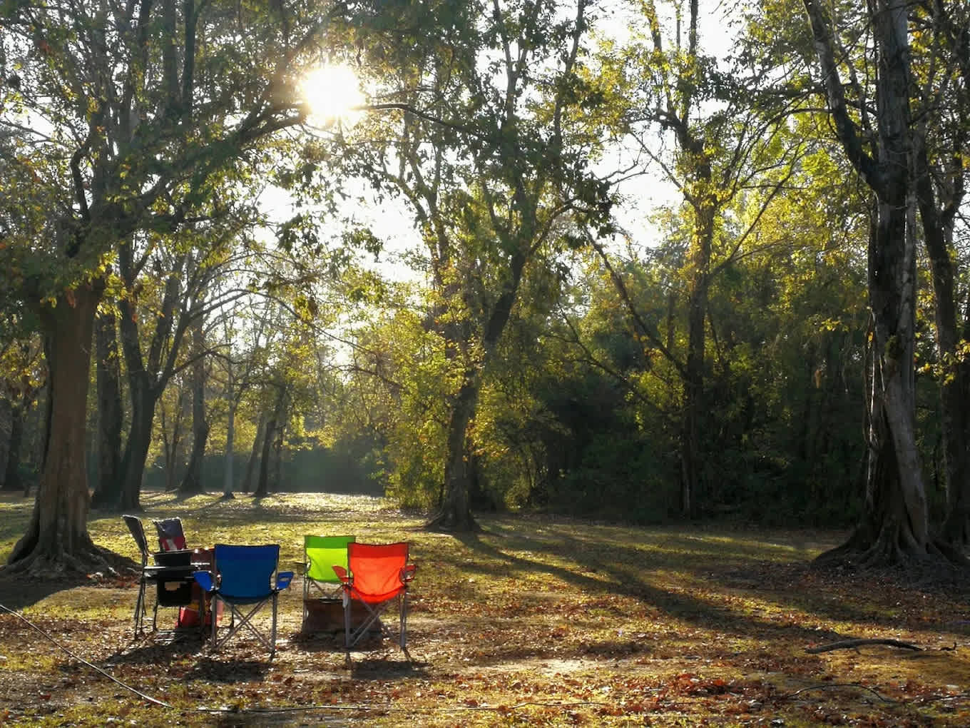 Cajun Heritage RV Park
