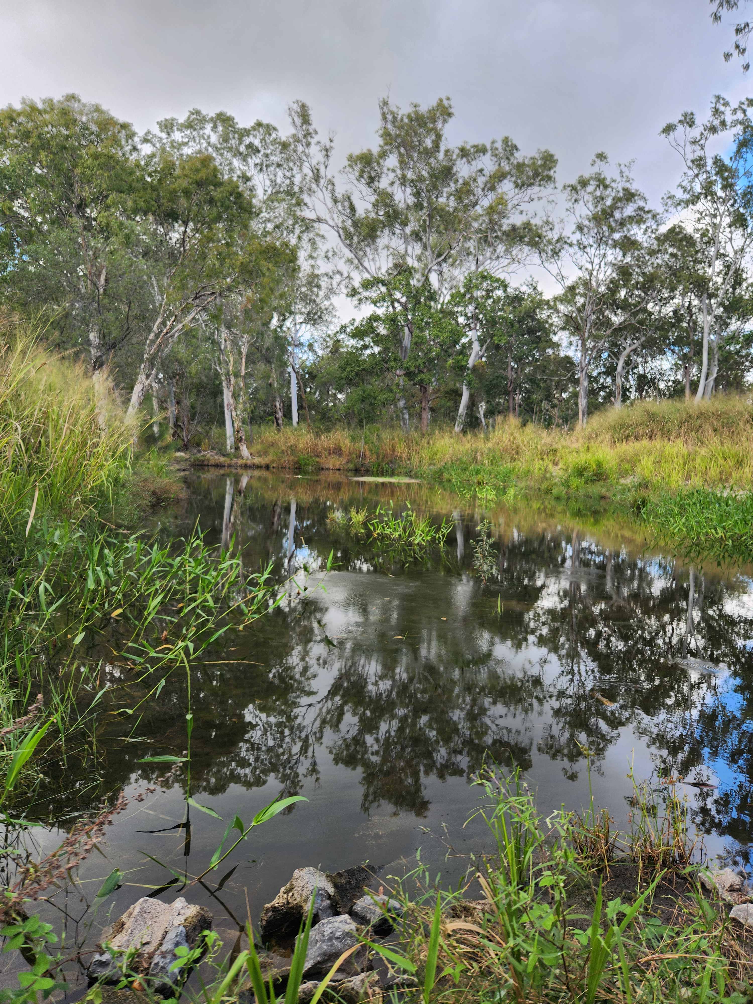 Leichhardt Creek Organic Farm