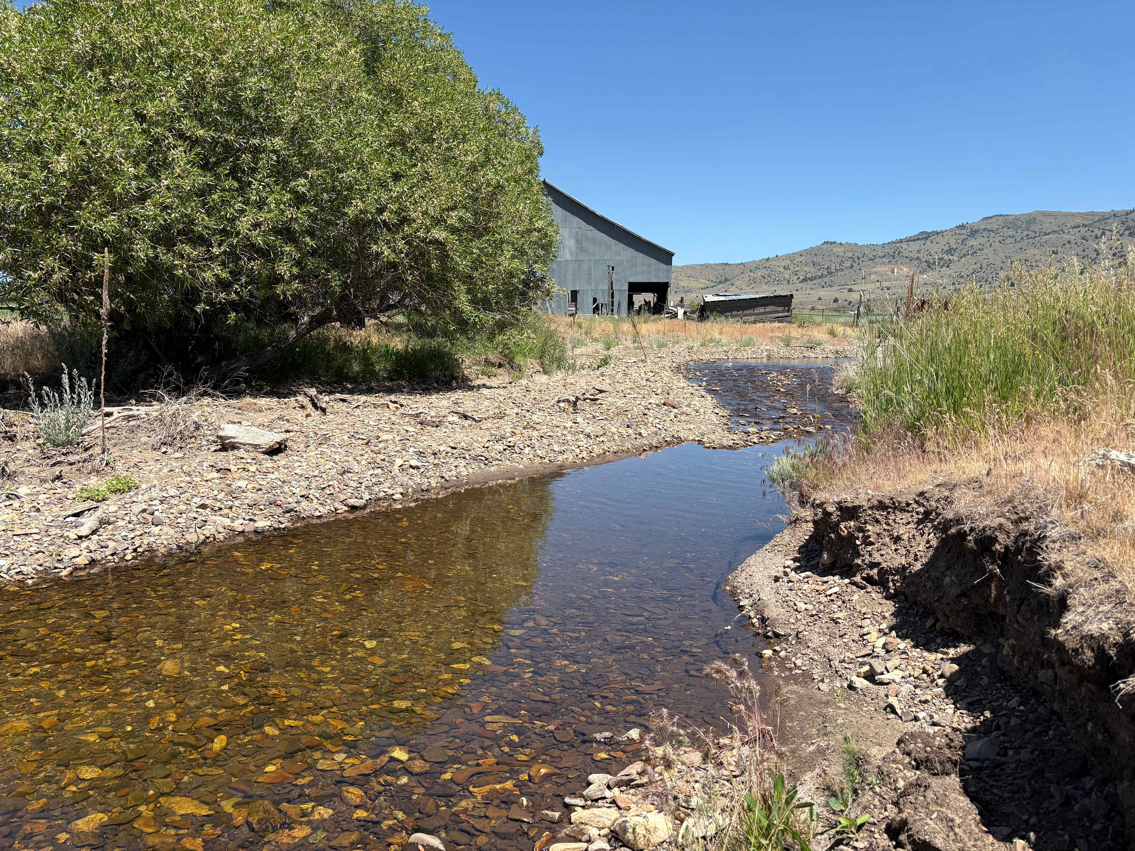 Goose Lake Organics