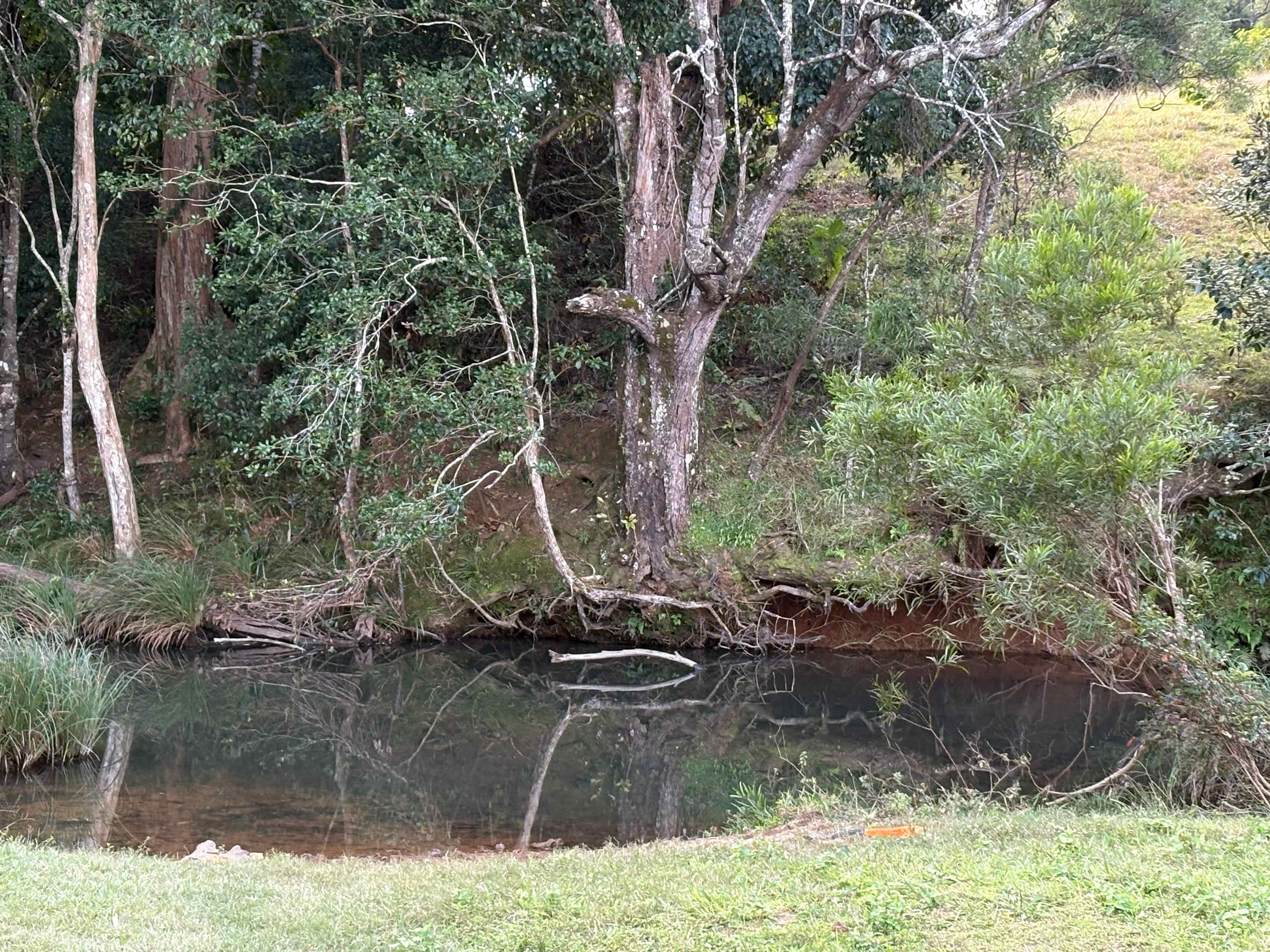 Rowlands Creek Camp Area