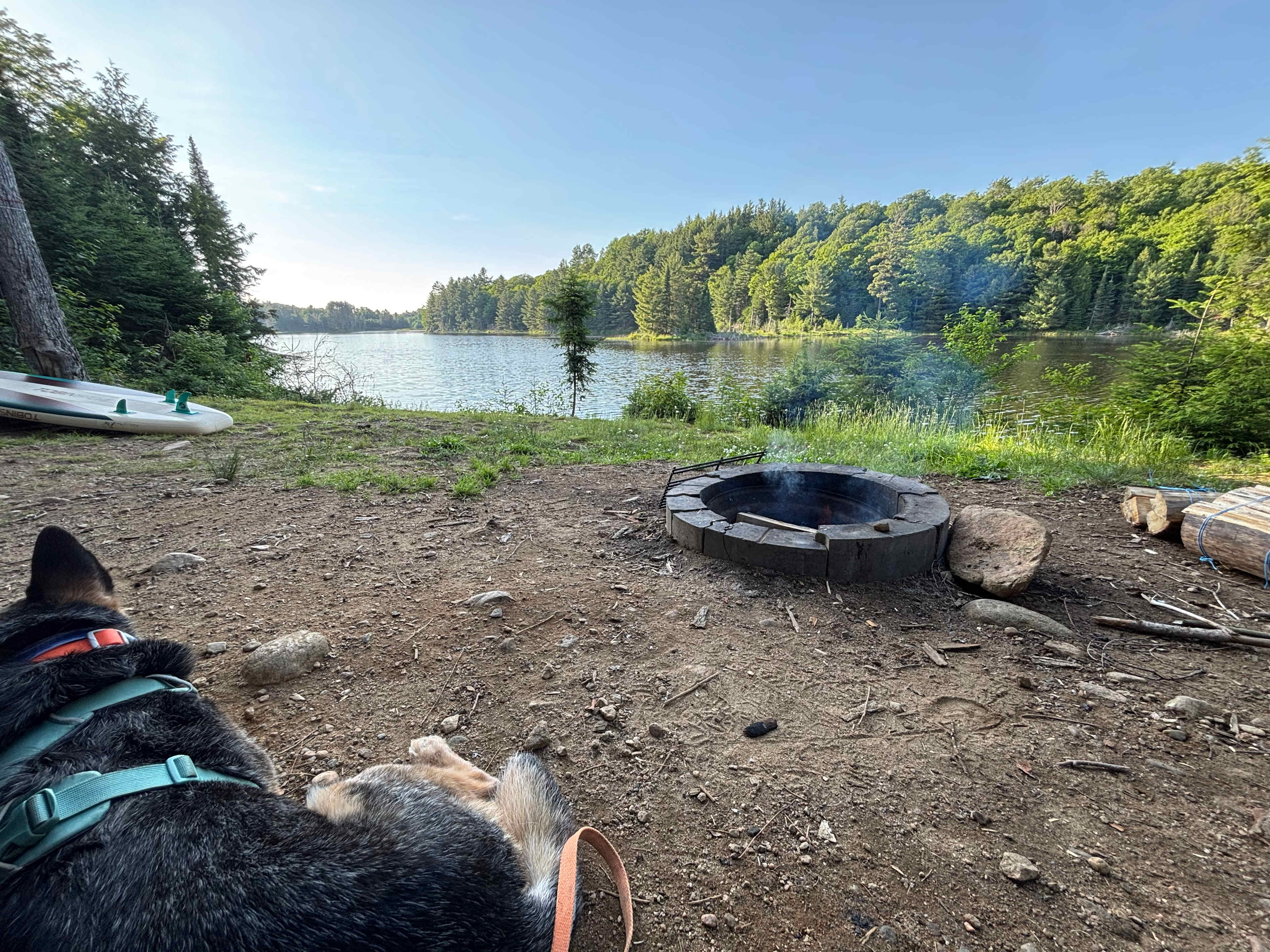 Ball Lake Tent Camping