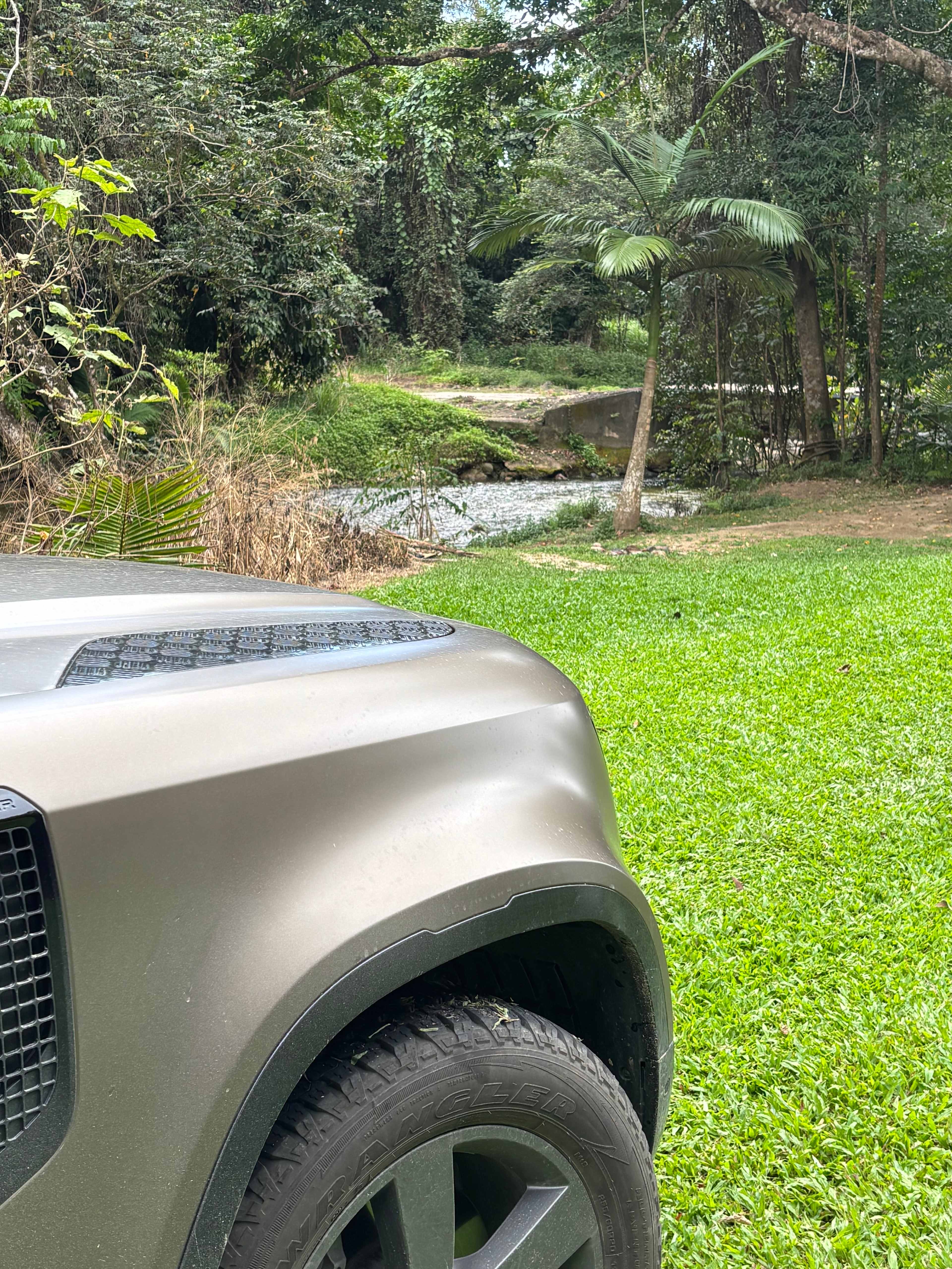 View to the creek, with all the lovely green grass. 