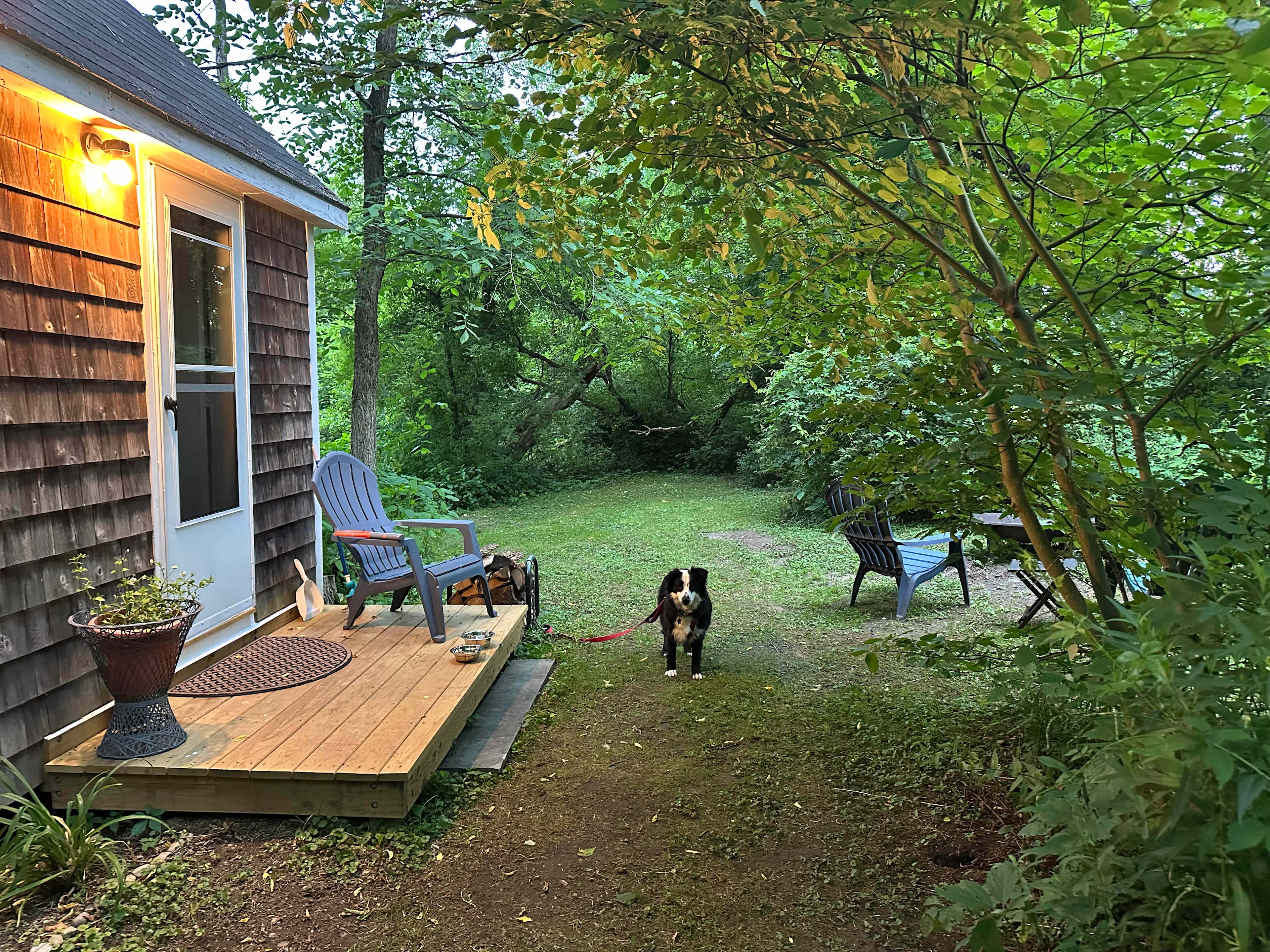 Riverside Retreat and Tiny Cabin
