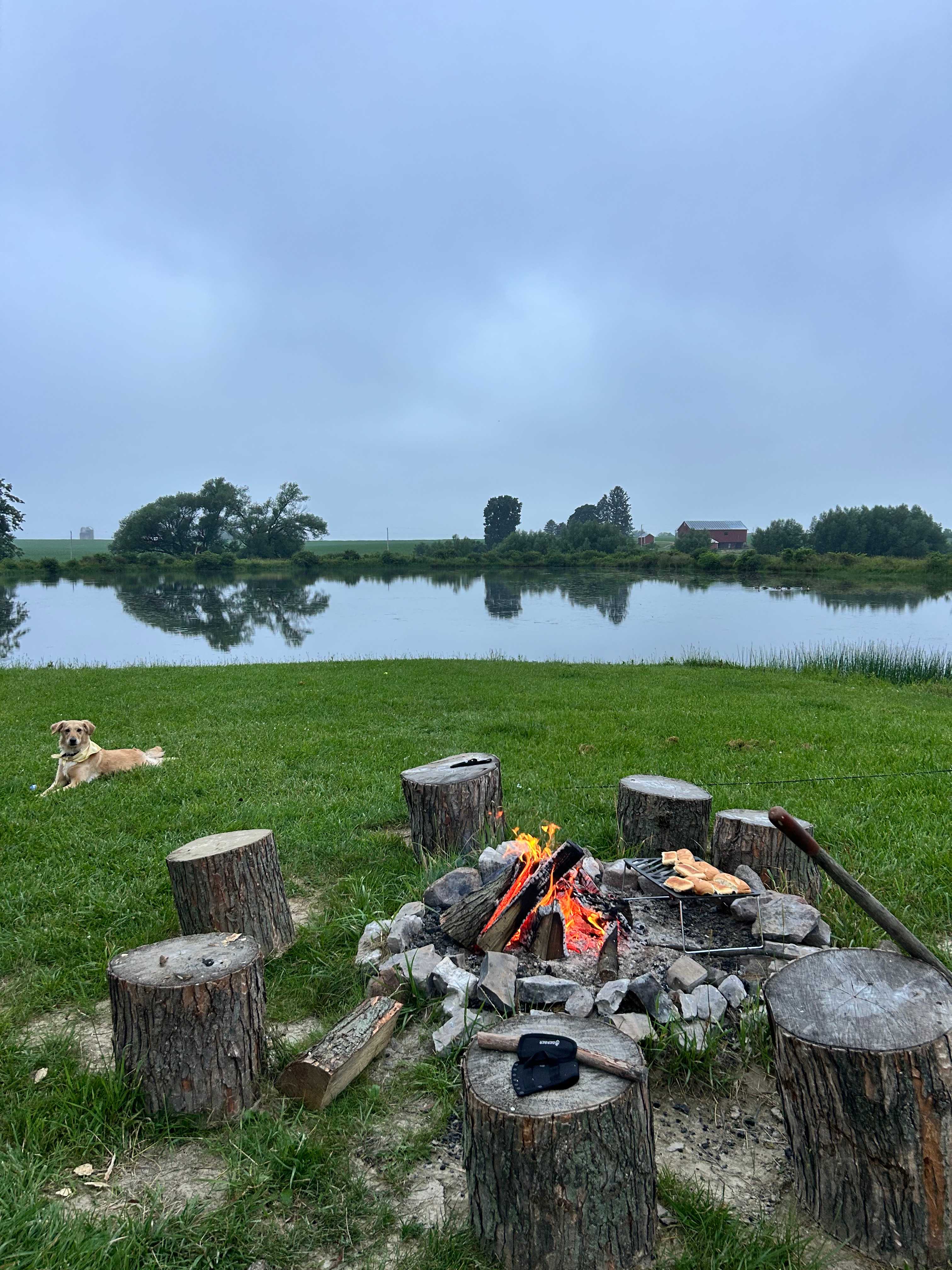 Paradise By The Pond