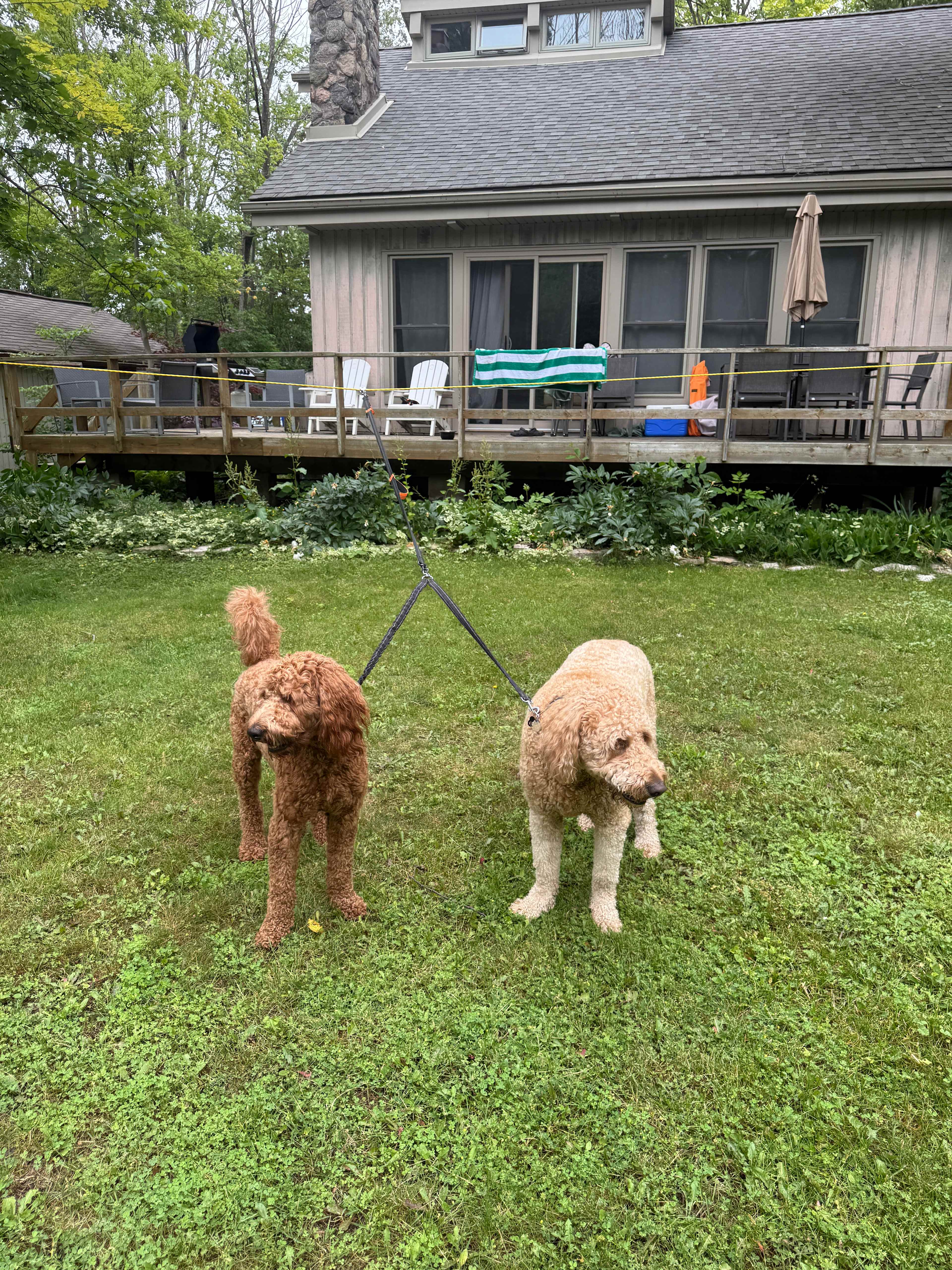 Kash & Kailo 