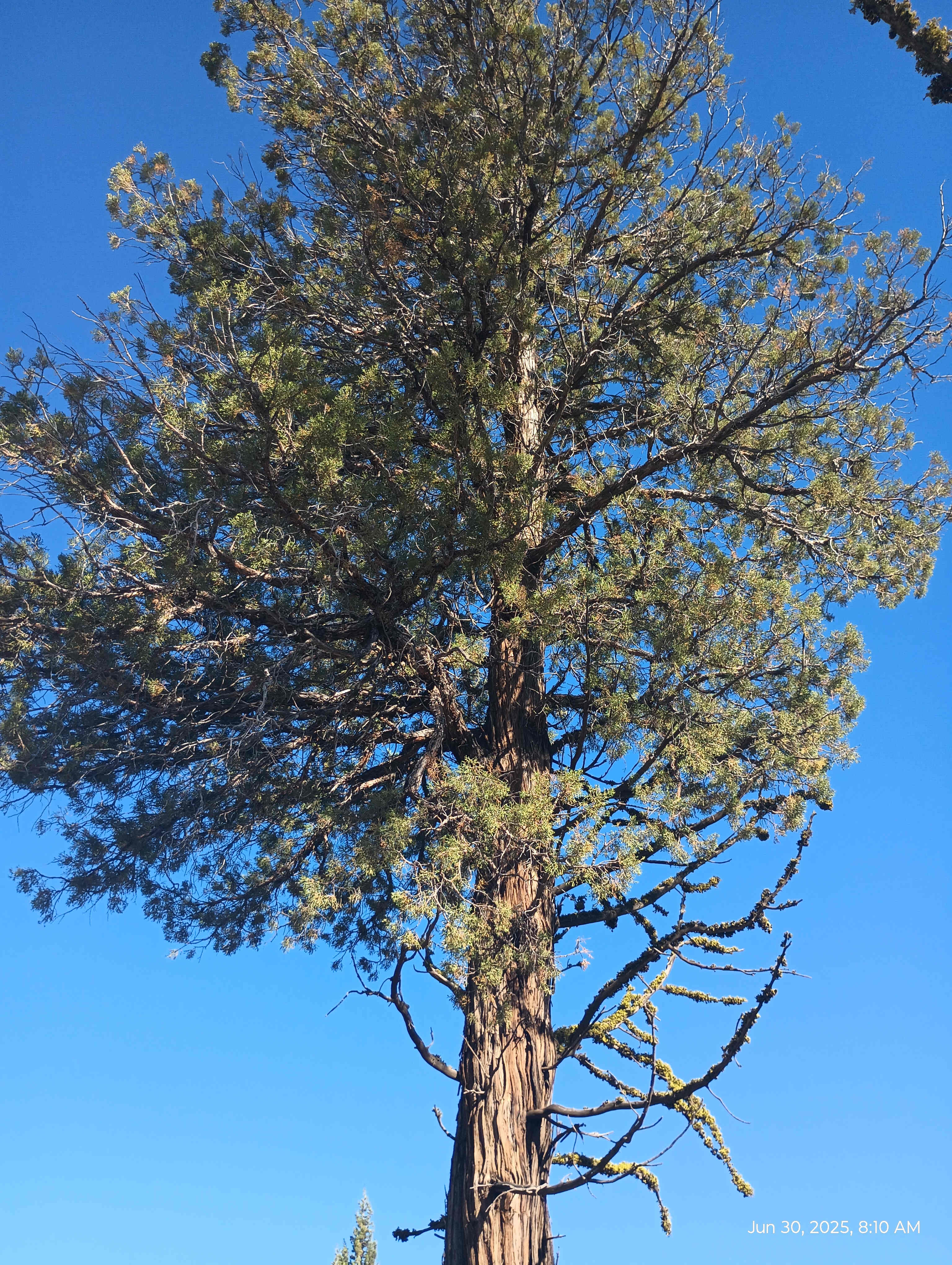 Tom's Rest Canyon Retreat Center
