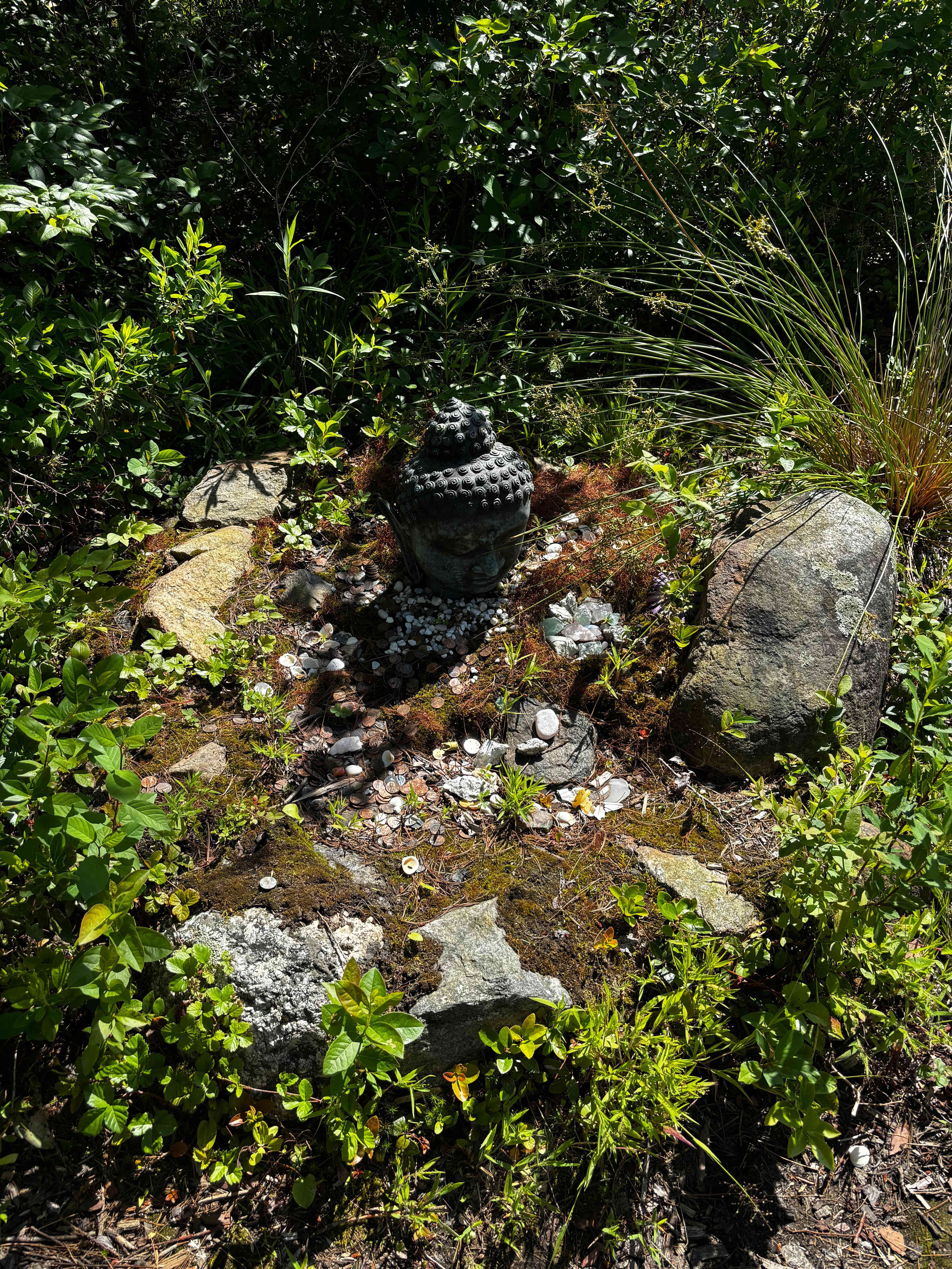Salamander Hollow Healing Habitat