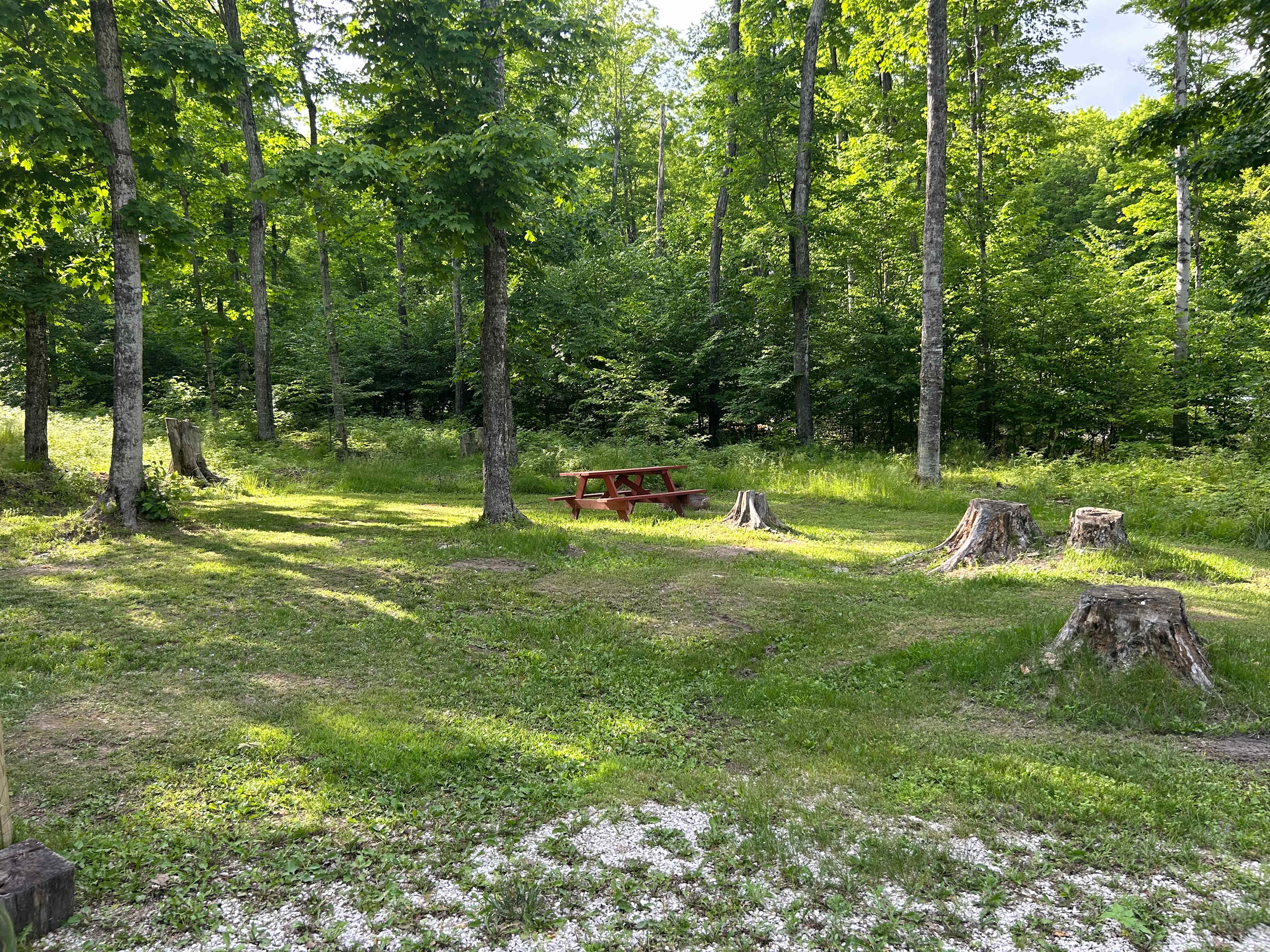 Elli's Lazy Days Resort & Campground