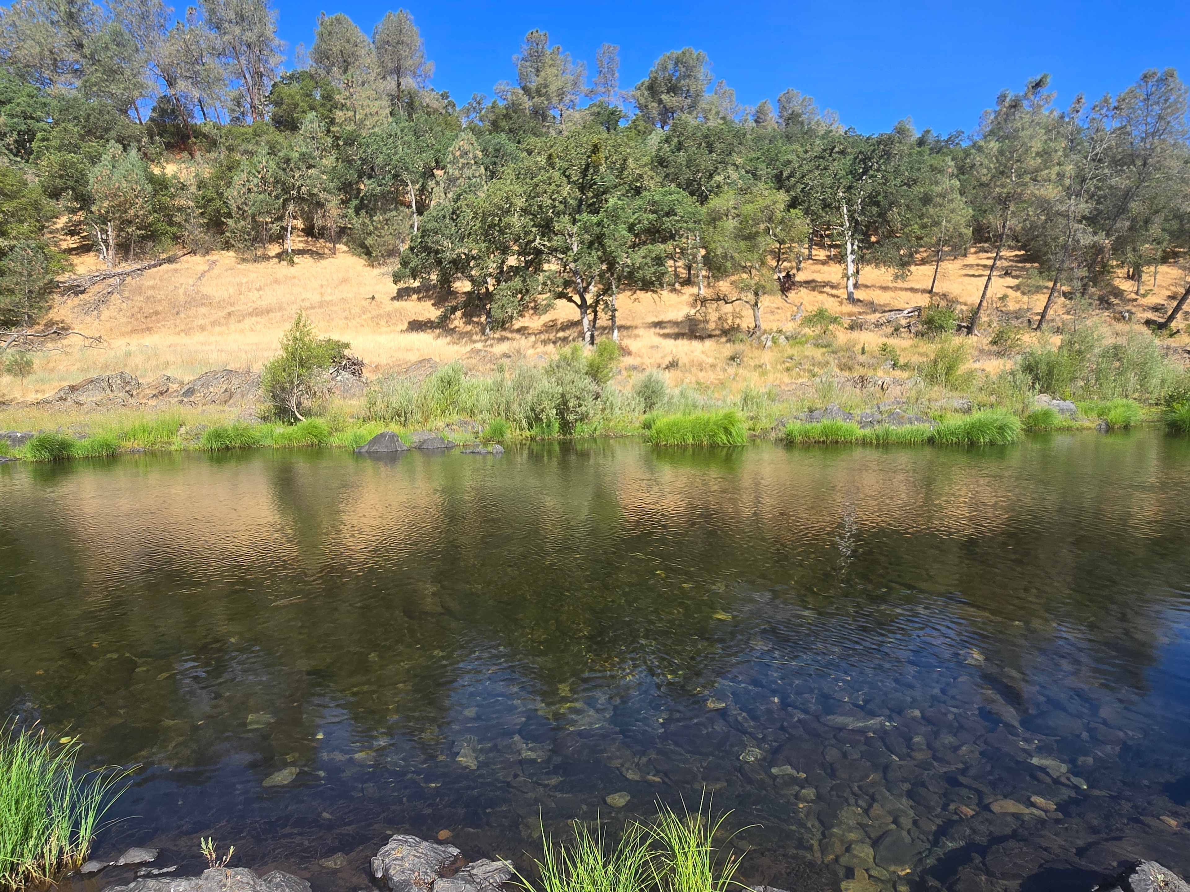 Cosumnes River Ranch