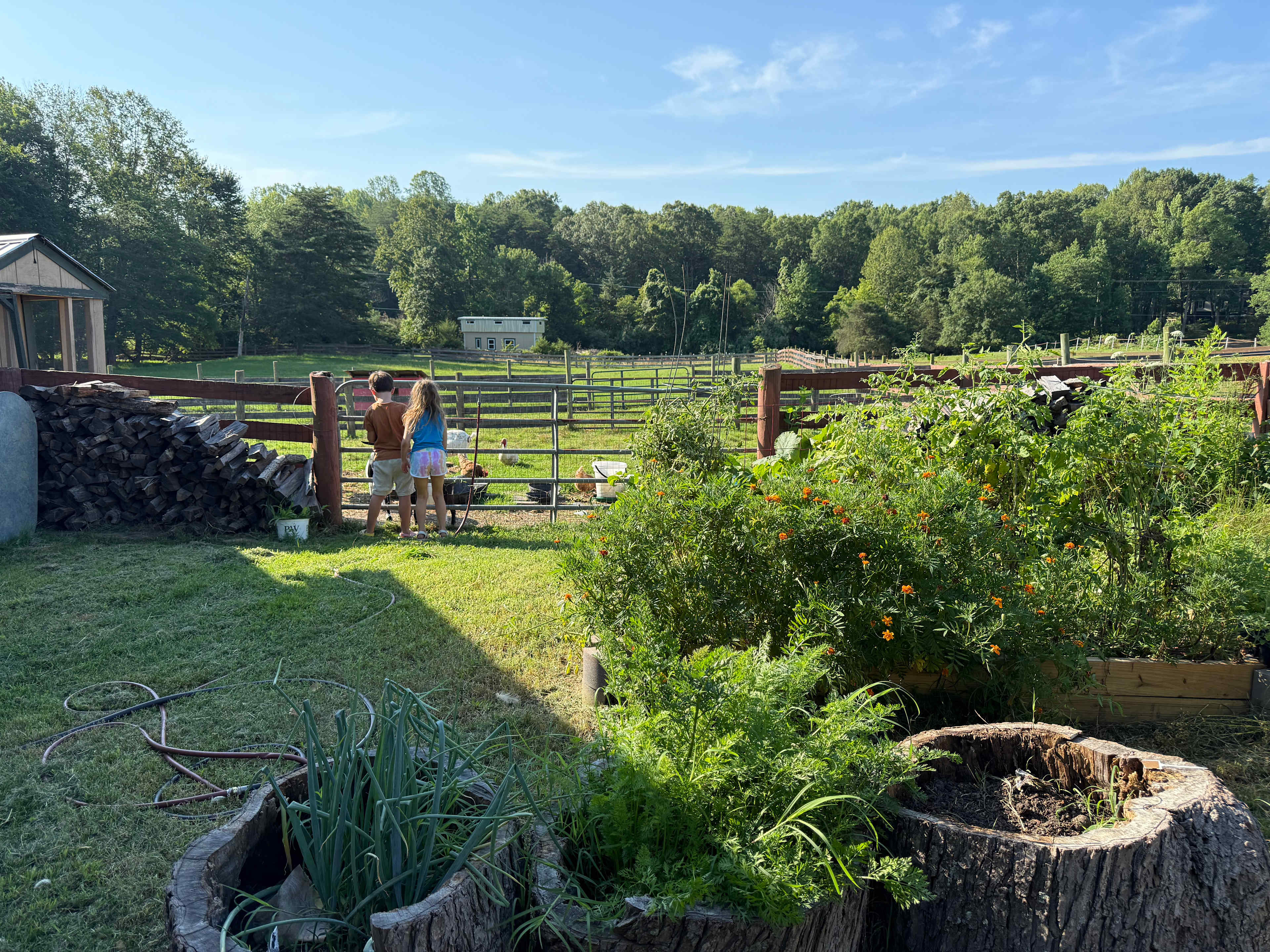 Cross Creek Farm