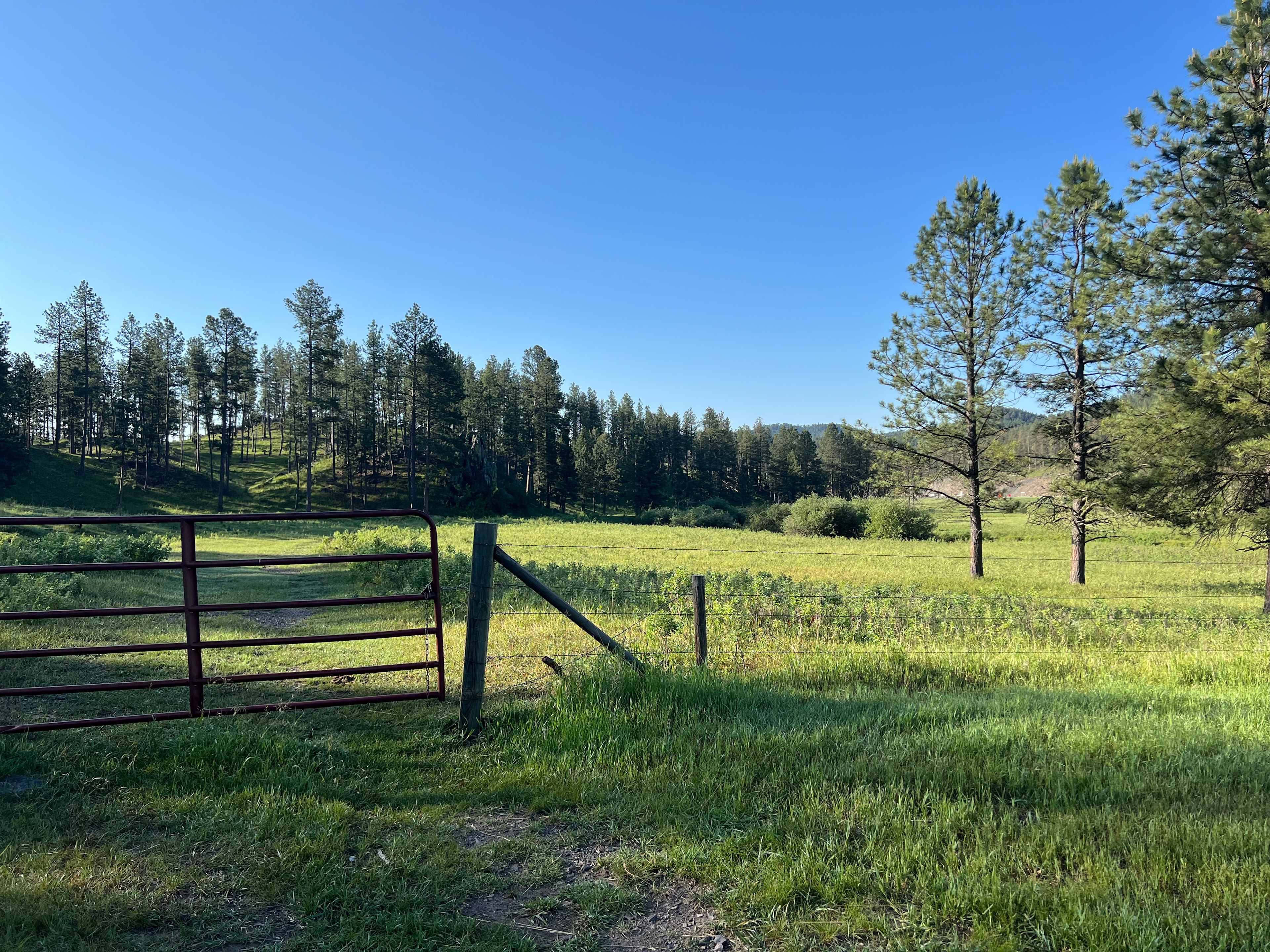 Horse Creek Resort RV Sites