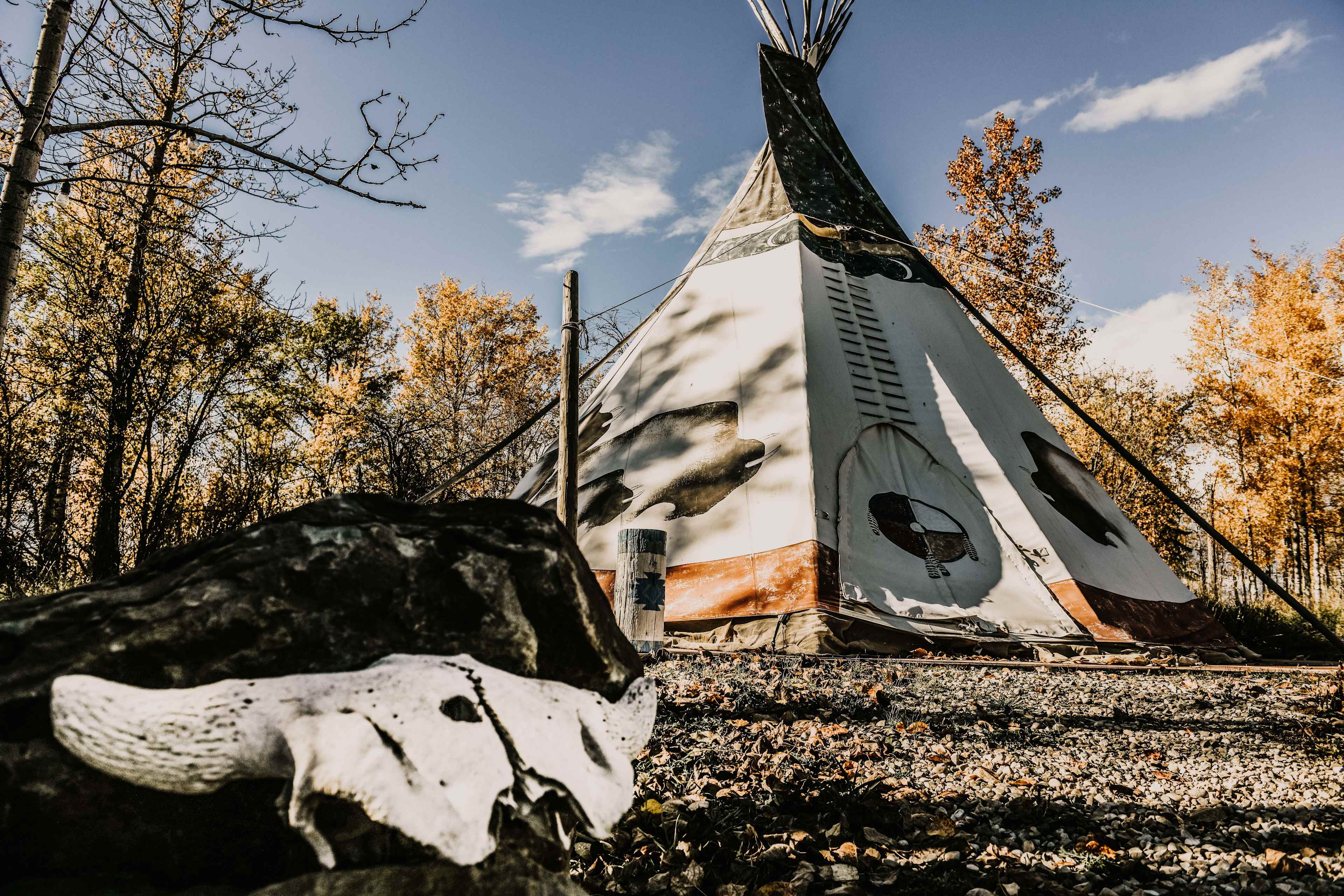 Experience a Stay at Go Hard Ranch