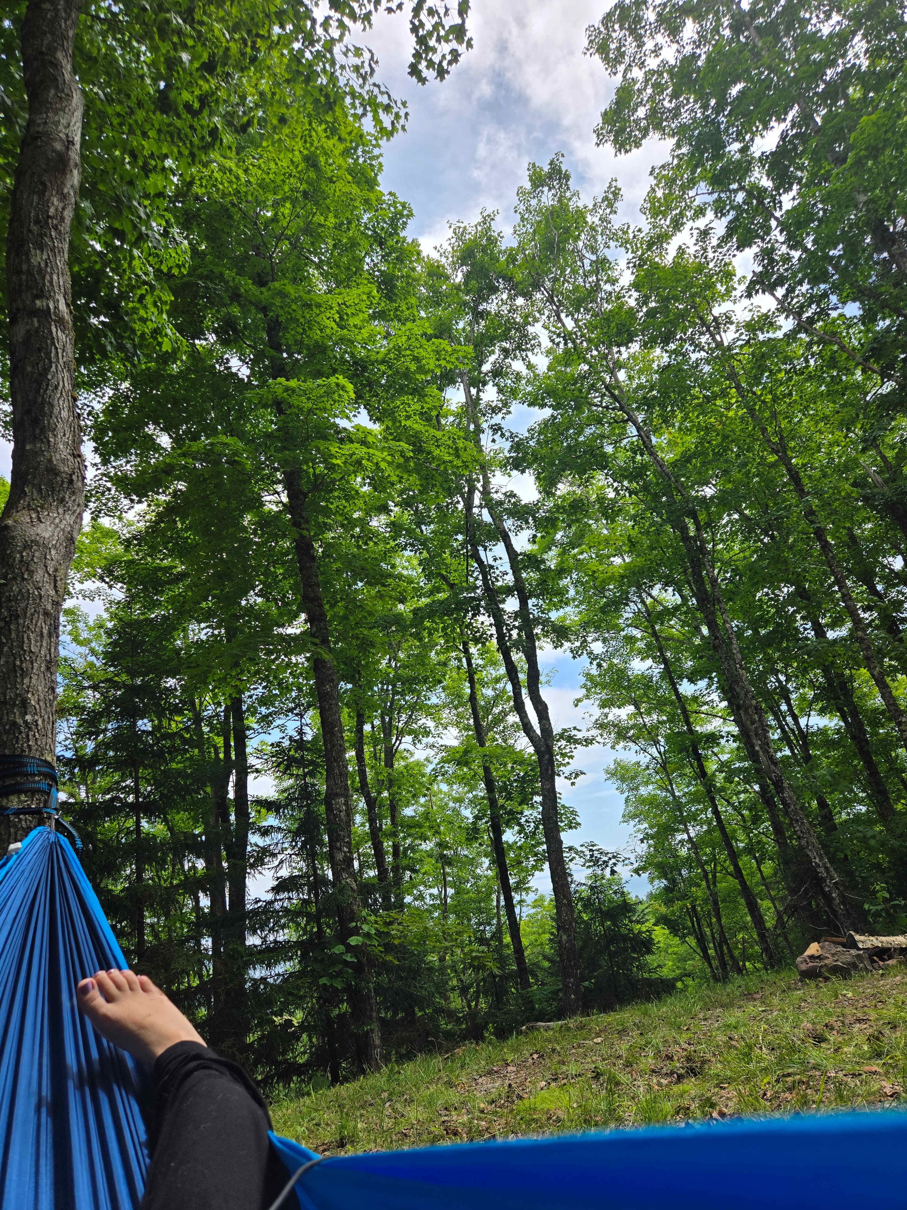 Fraserville Off-Grid Camping