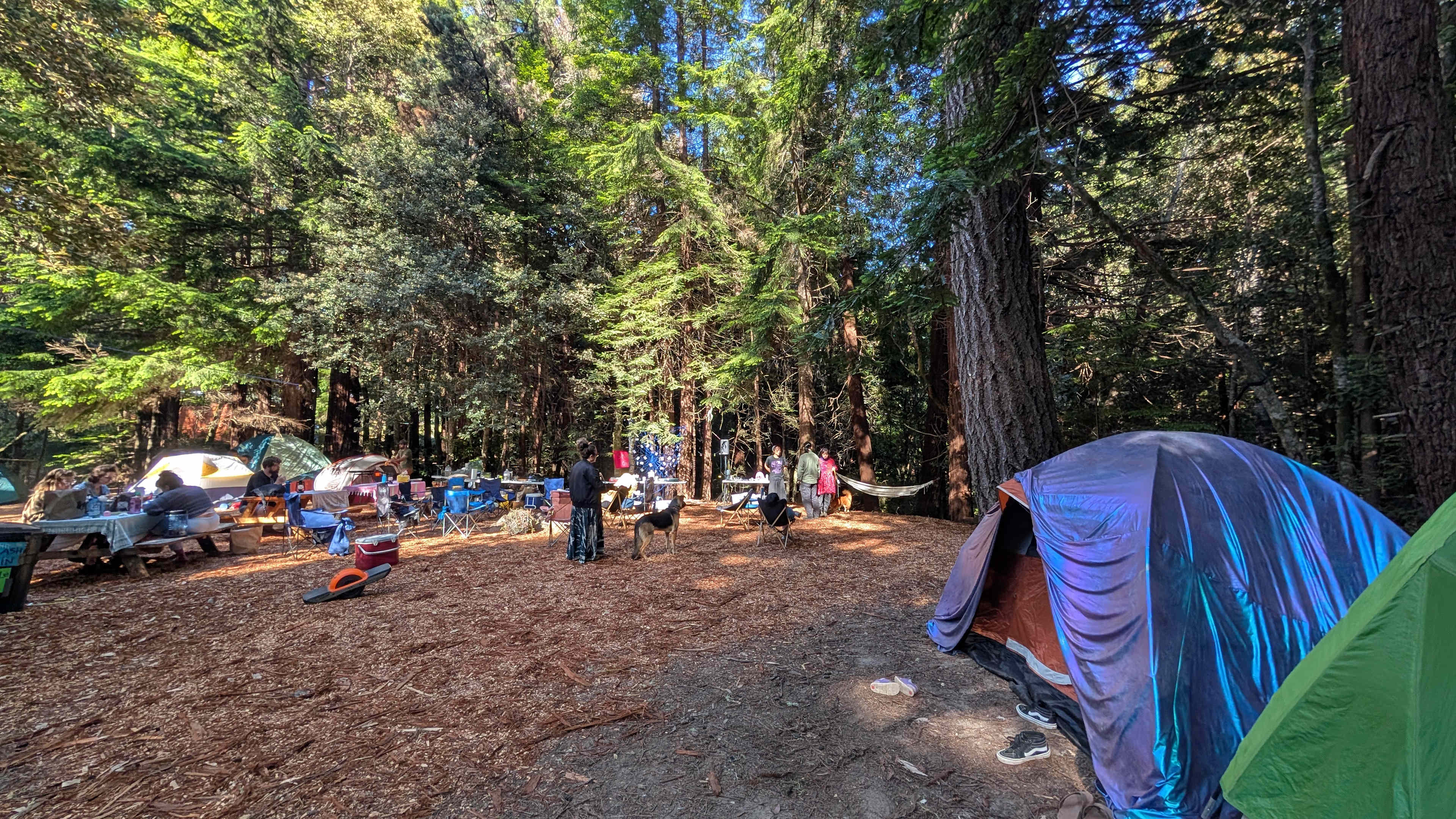 Bigfoot’s Coastal Hideaway