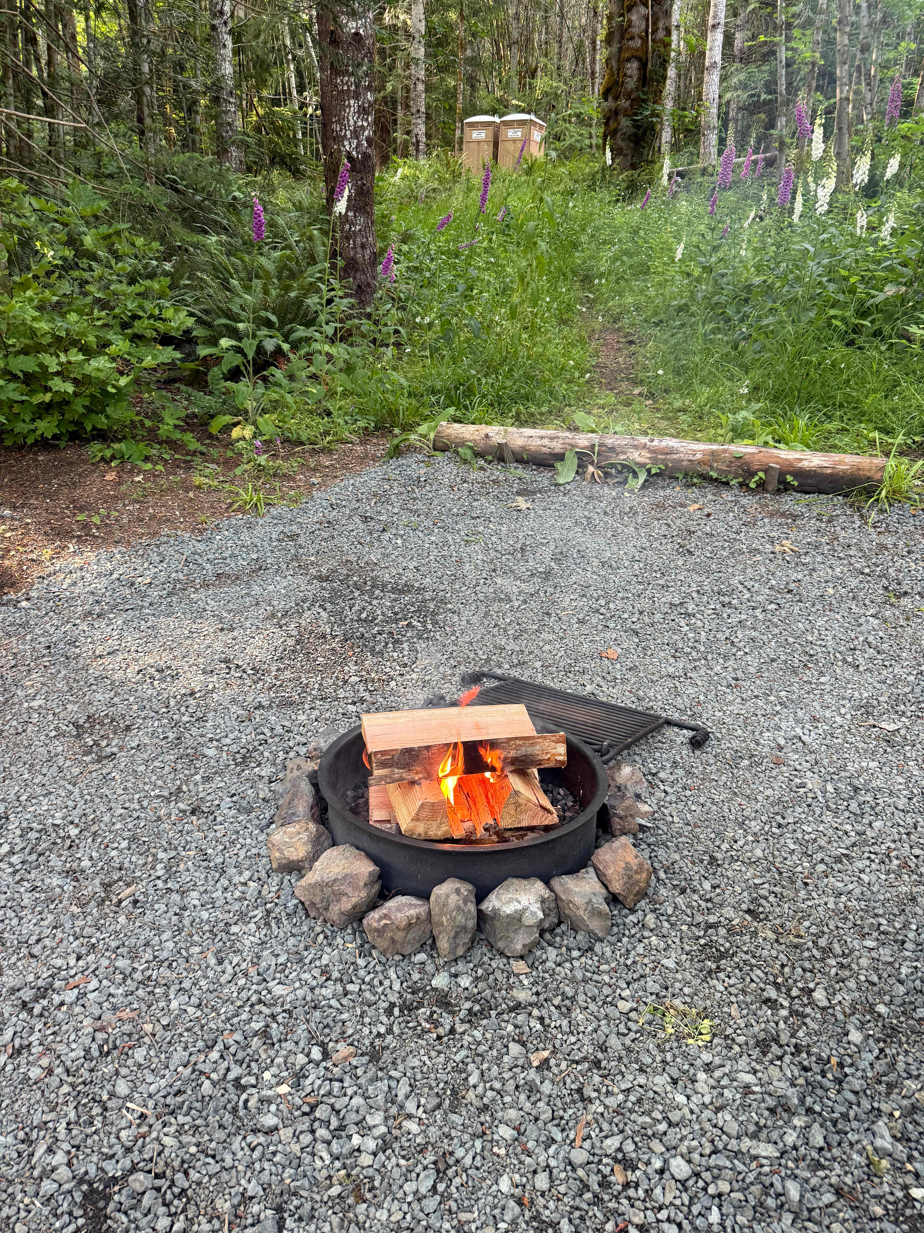 Wandering Joy Campground