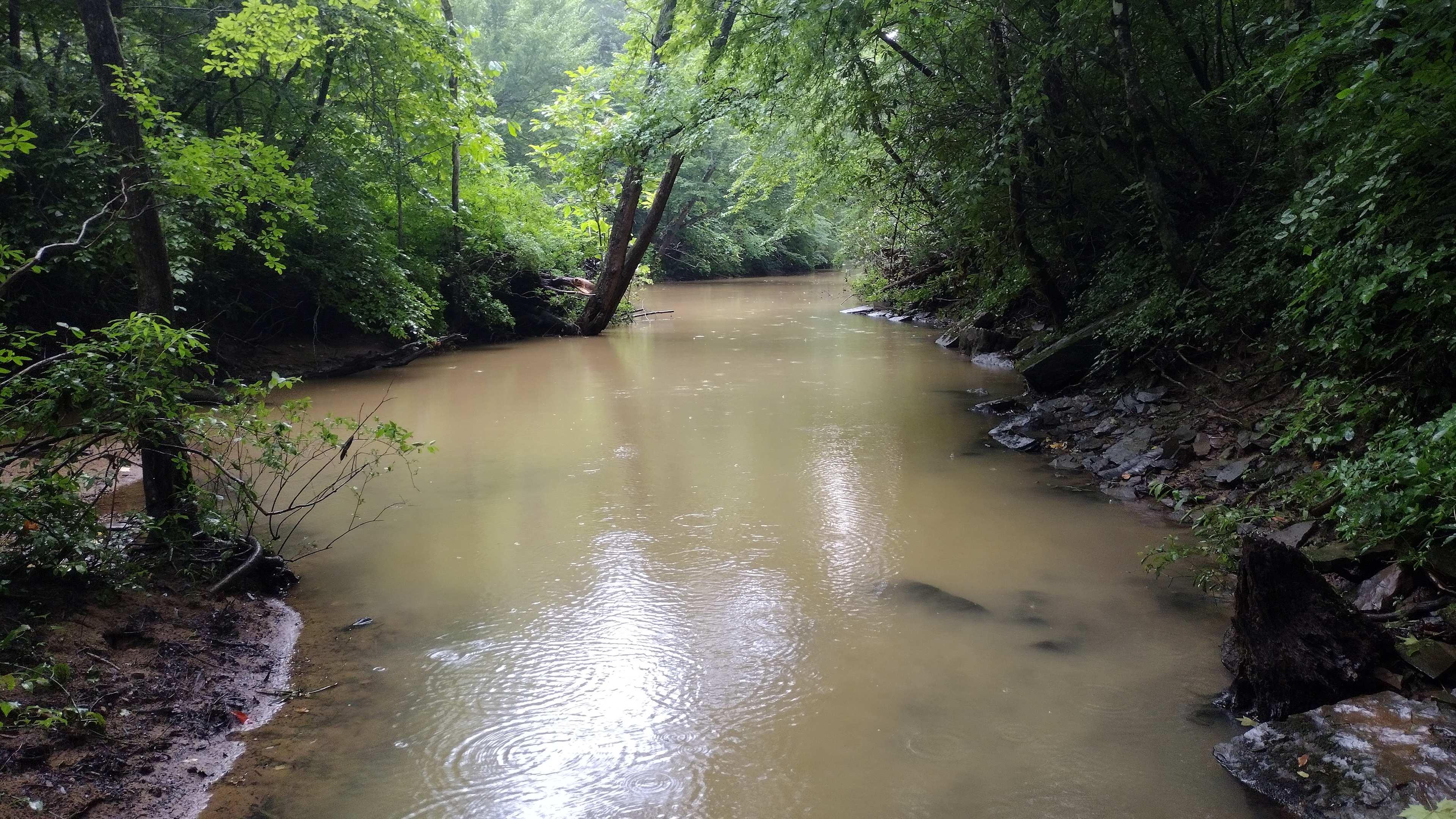 Muddy Pond River Retreat