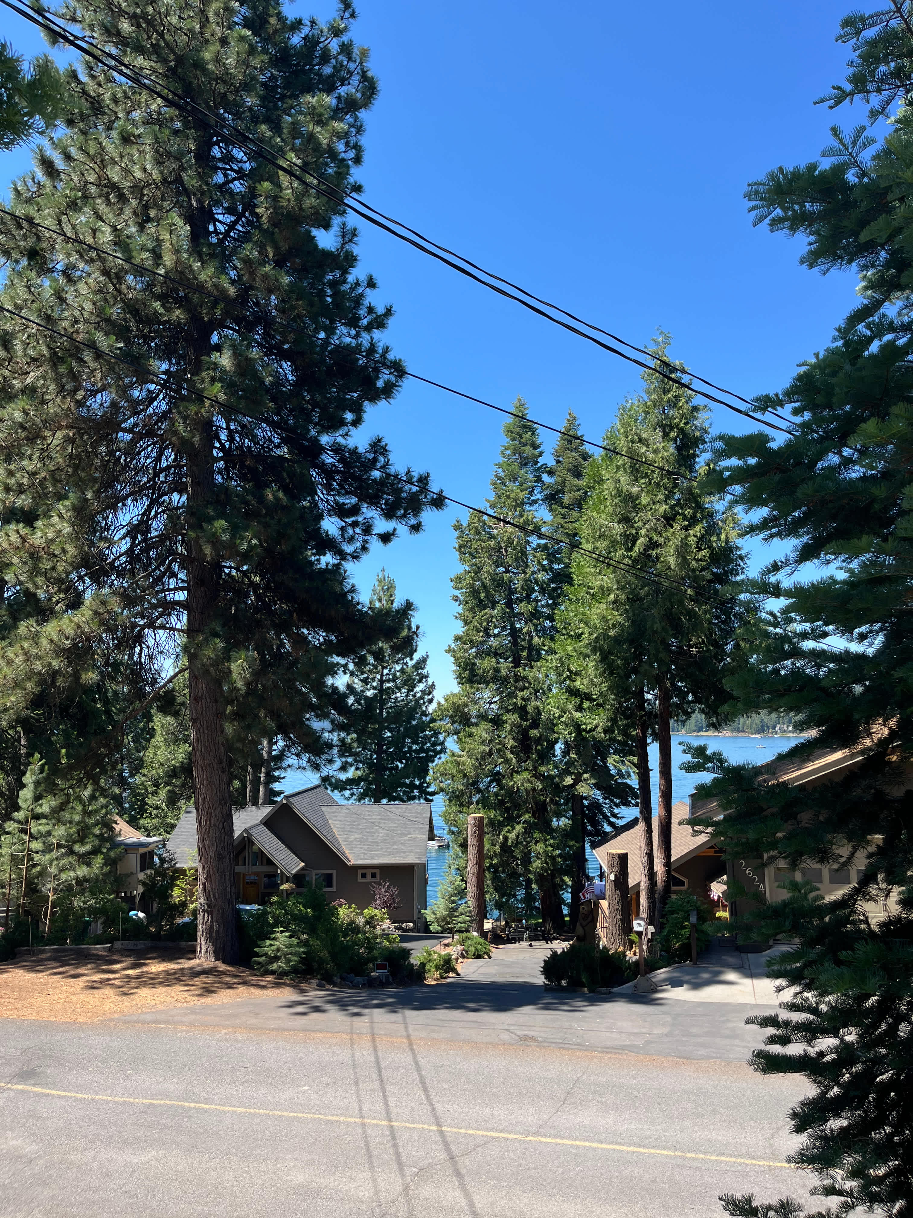 view from the site