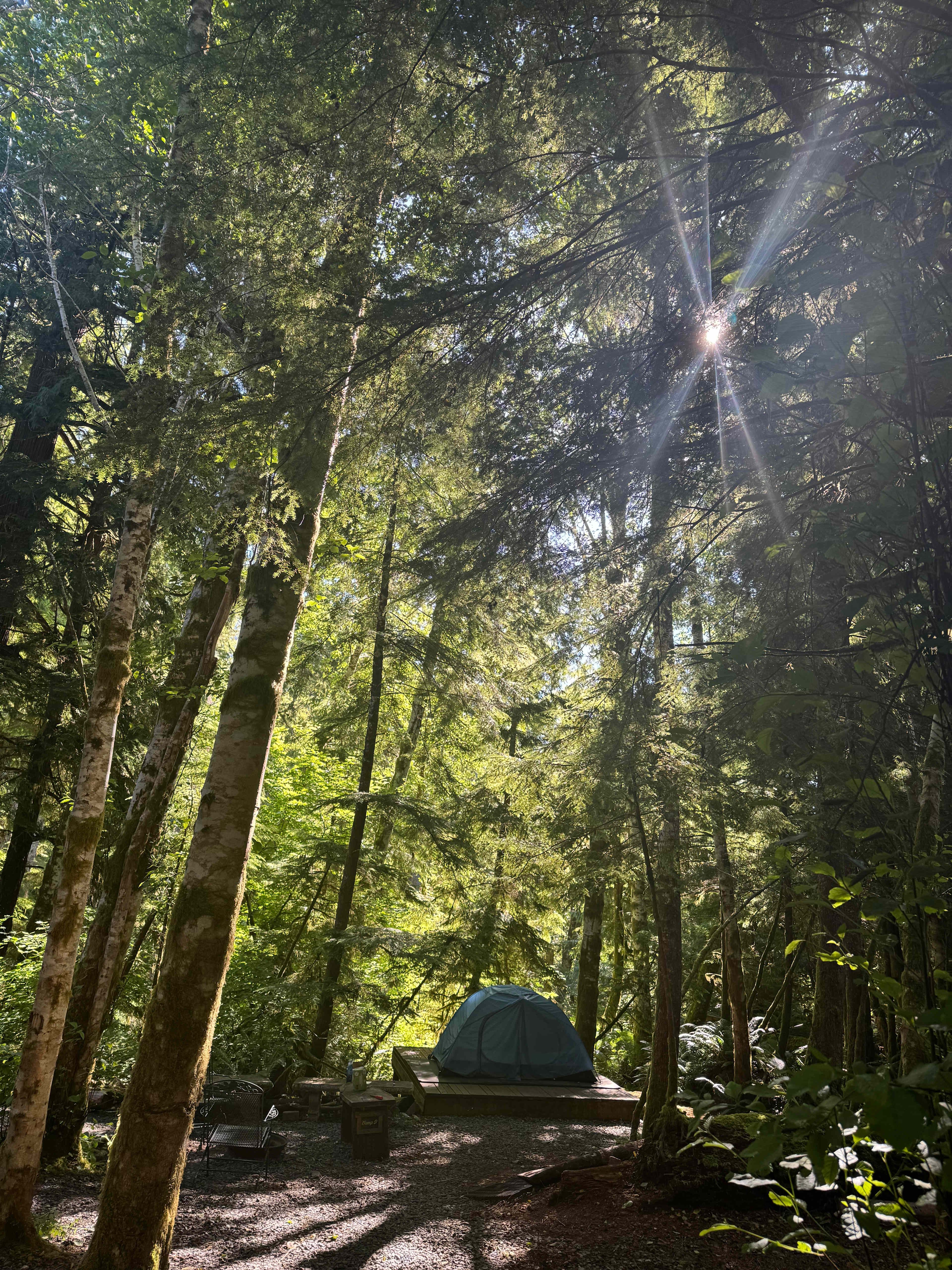 sol duc rainforest retreat