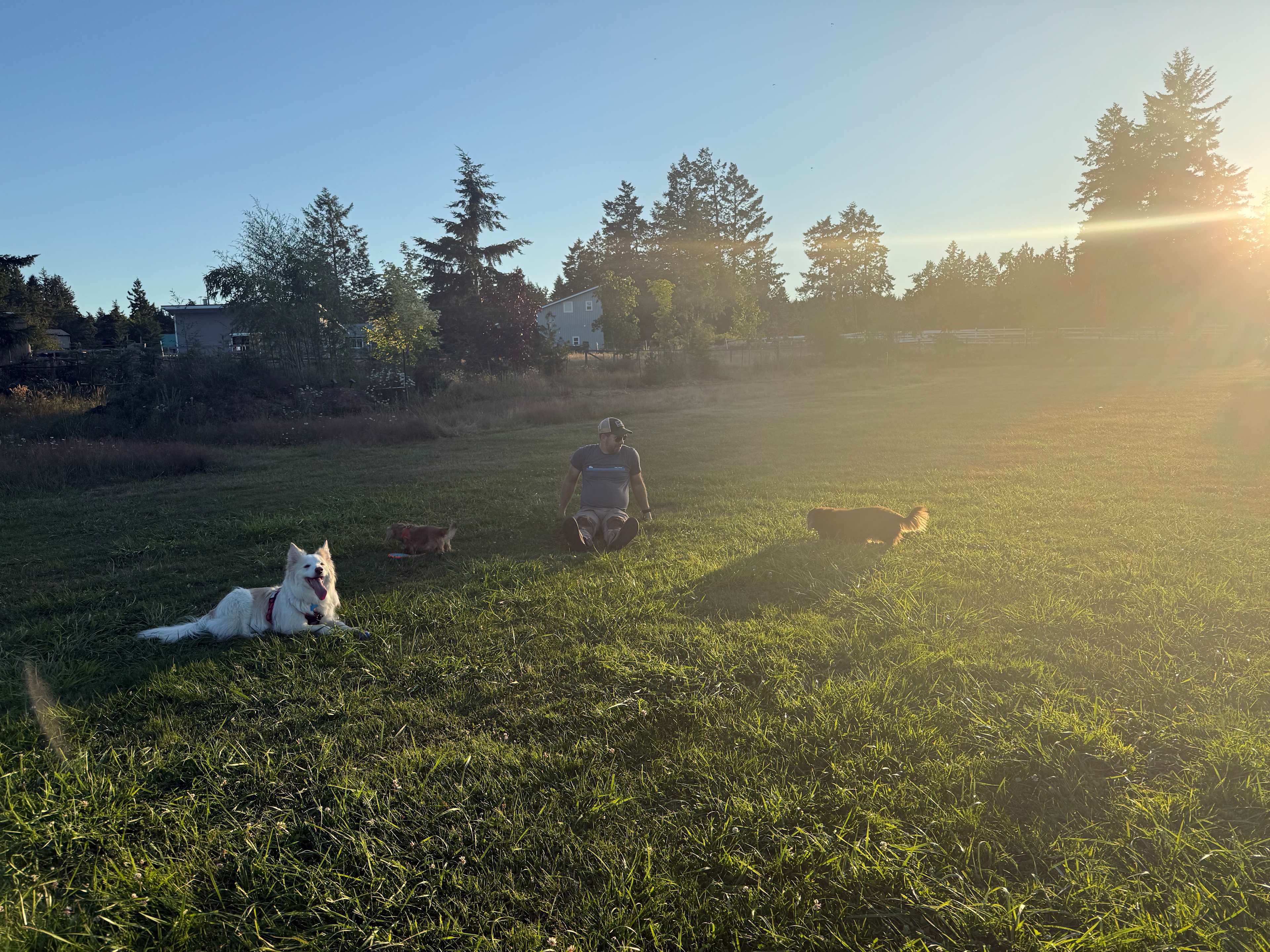 Wild Coast Parksville Campsite