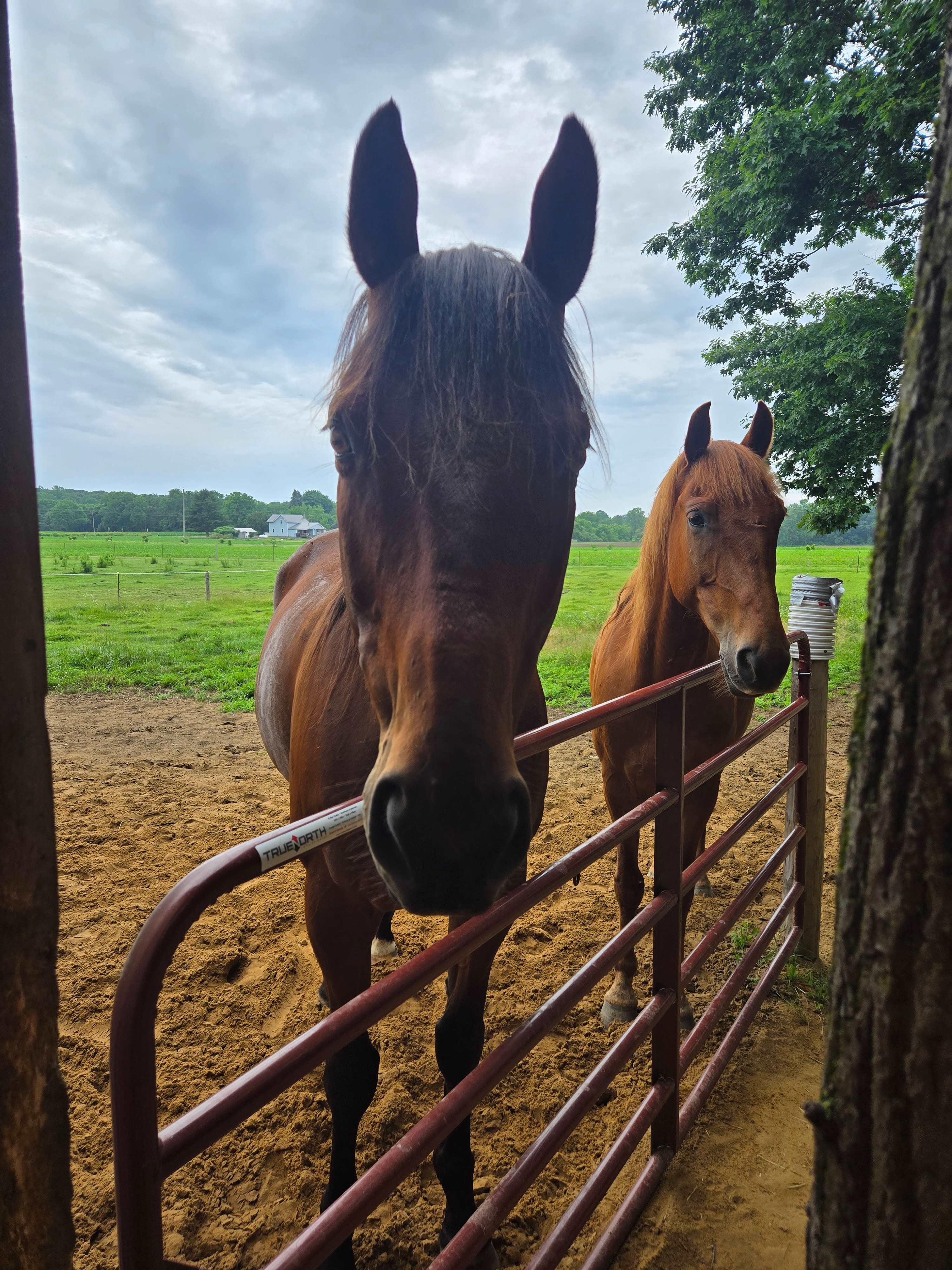 Horseshoe Overnight And Riding