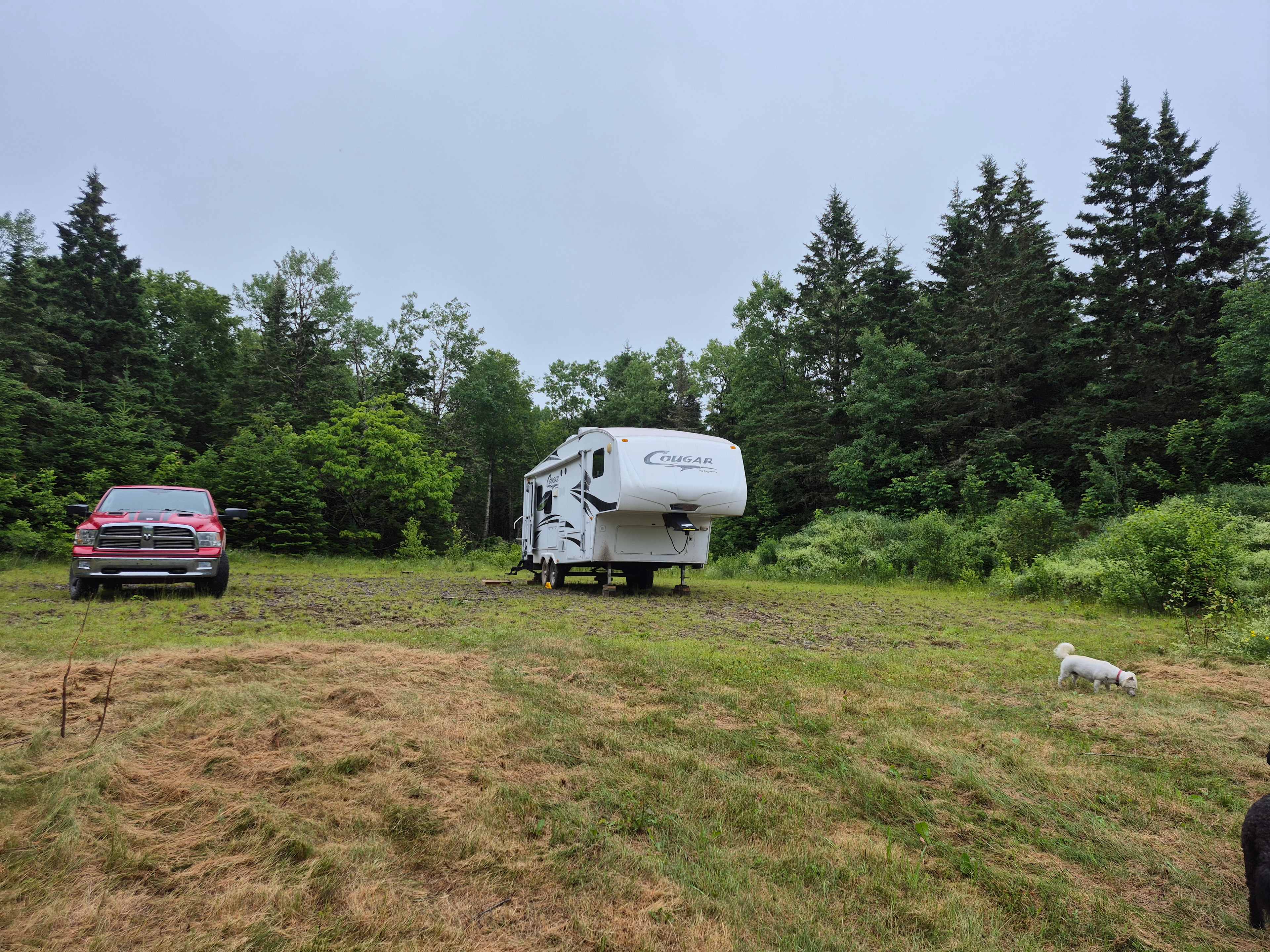 Wickham Nature Retreat