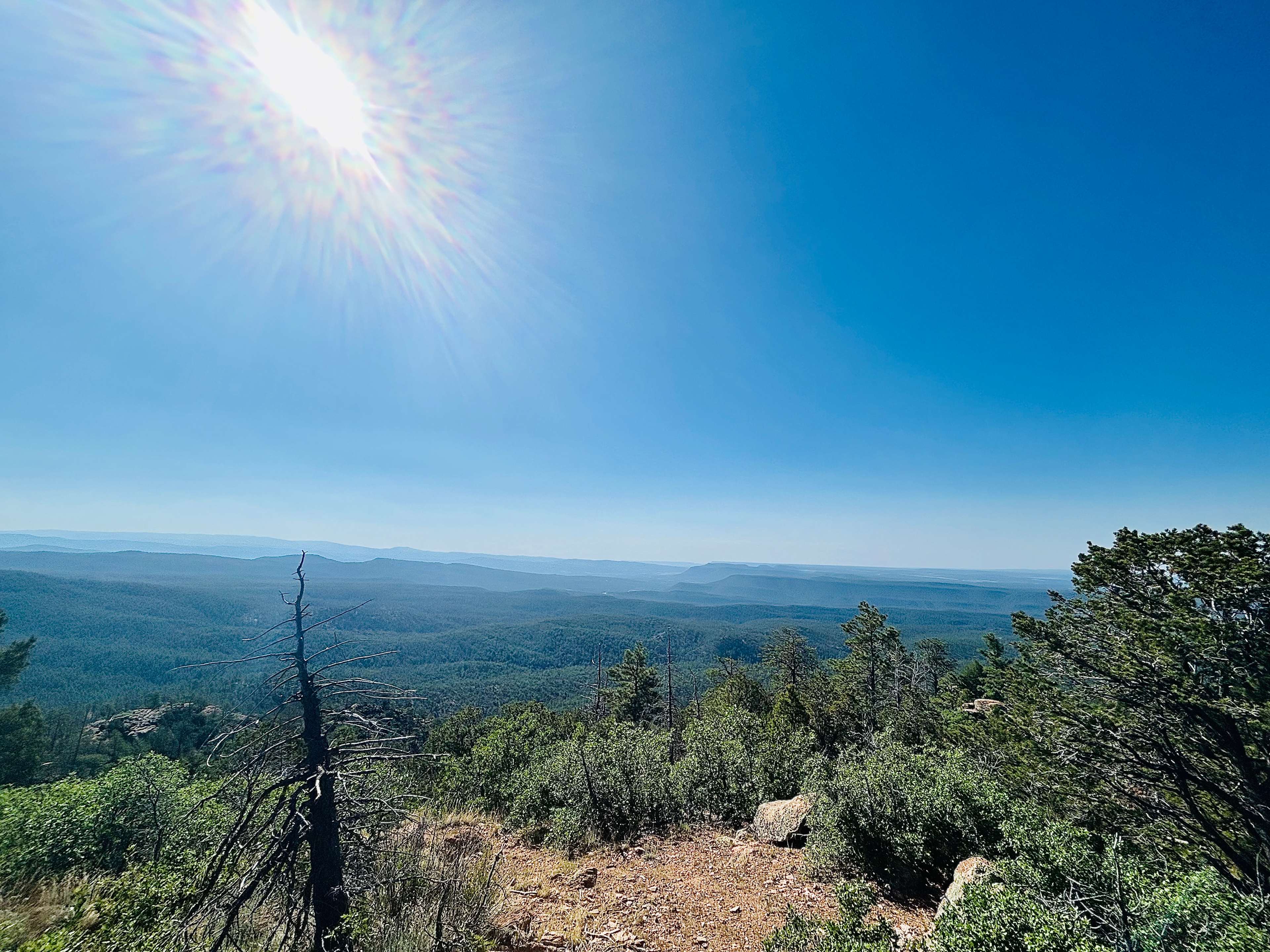  View from Shaggy Peak