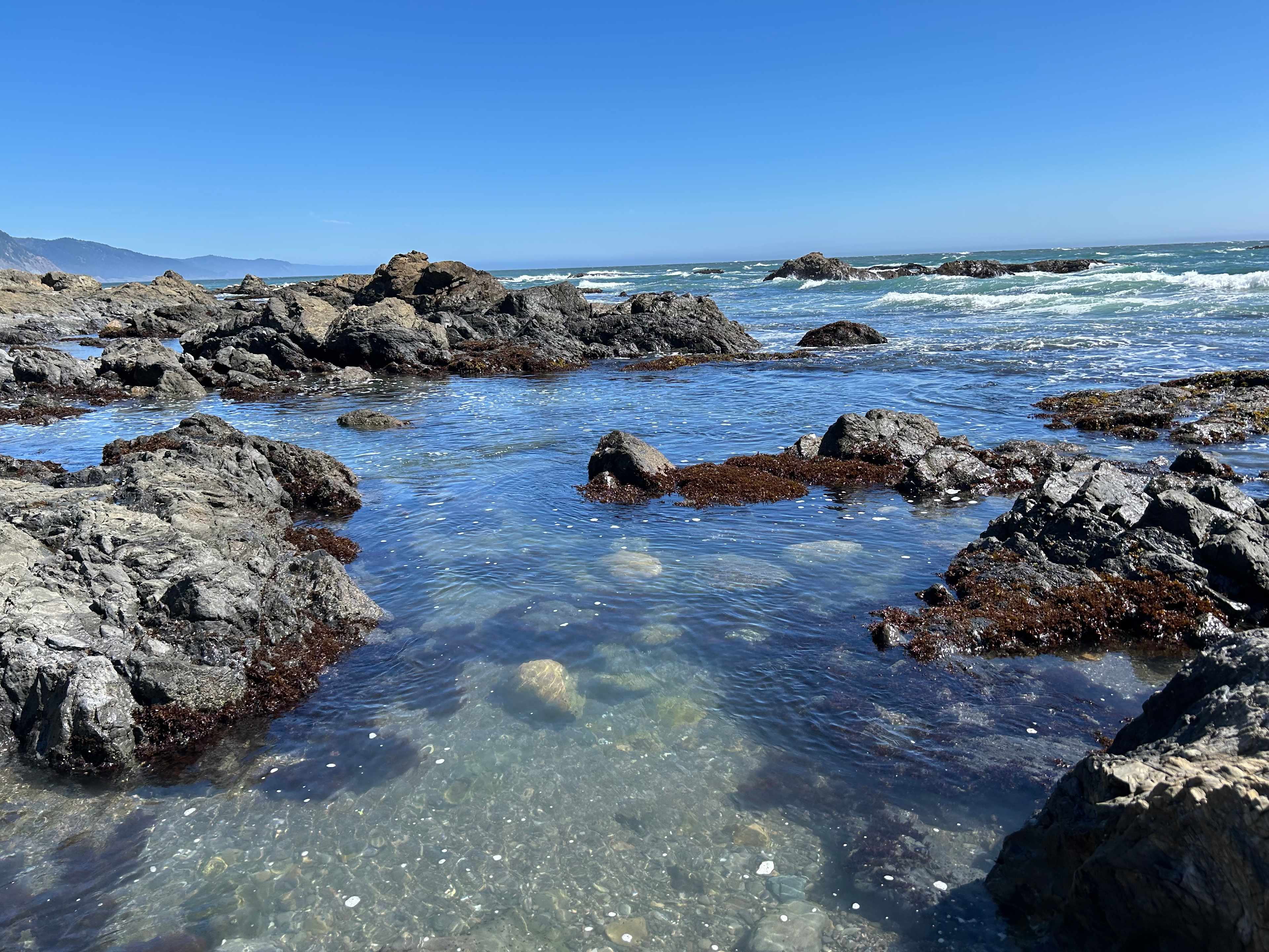 Short walk from the campground near lighthouse. 
