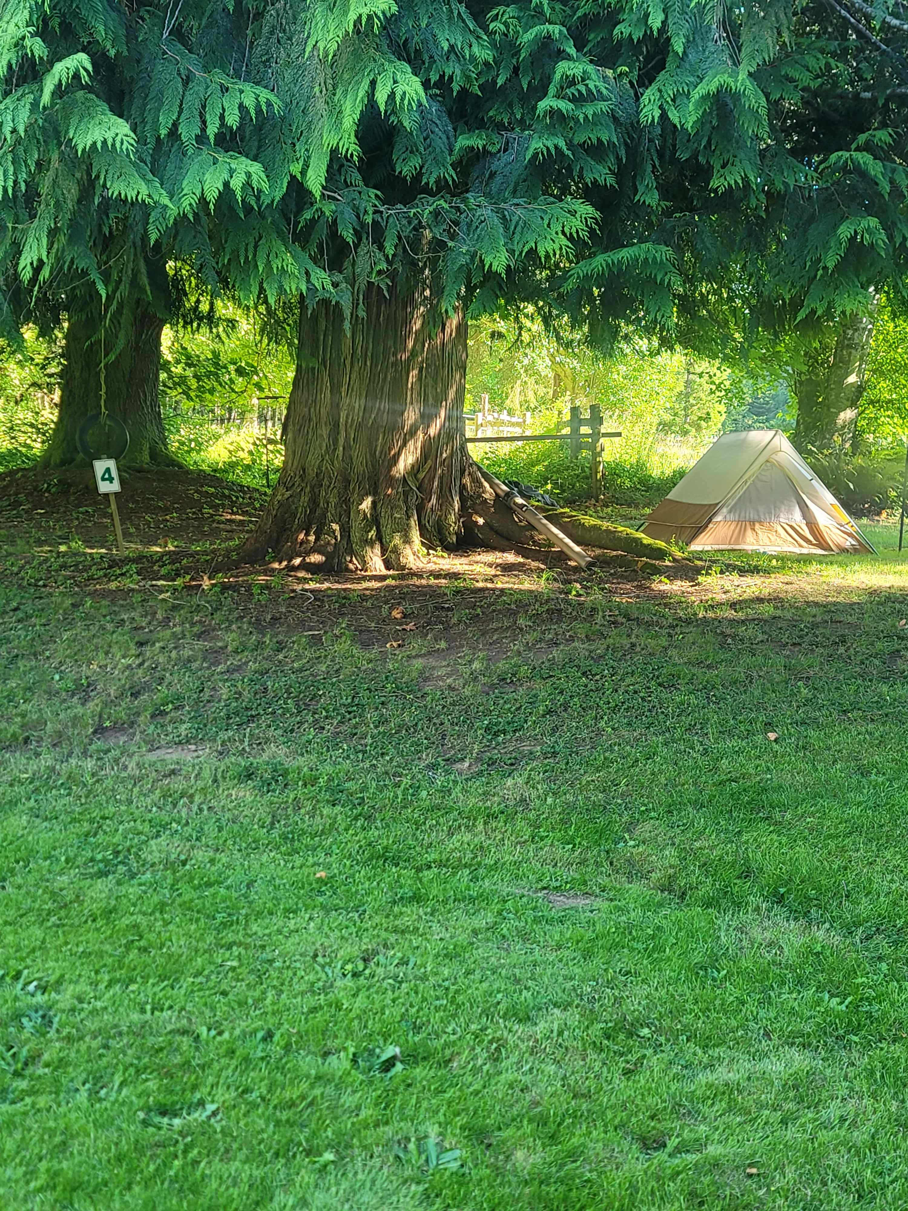 Walk in site 4
