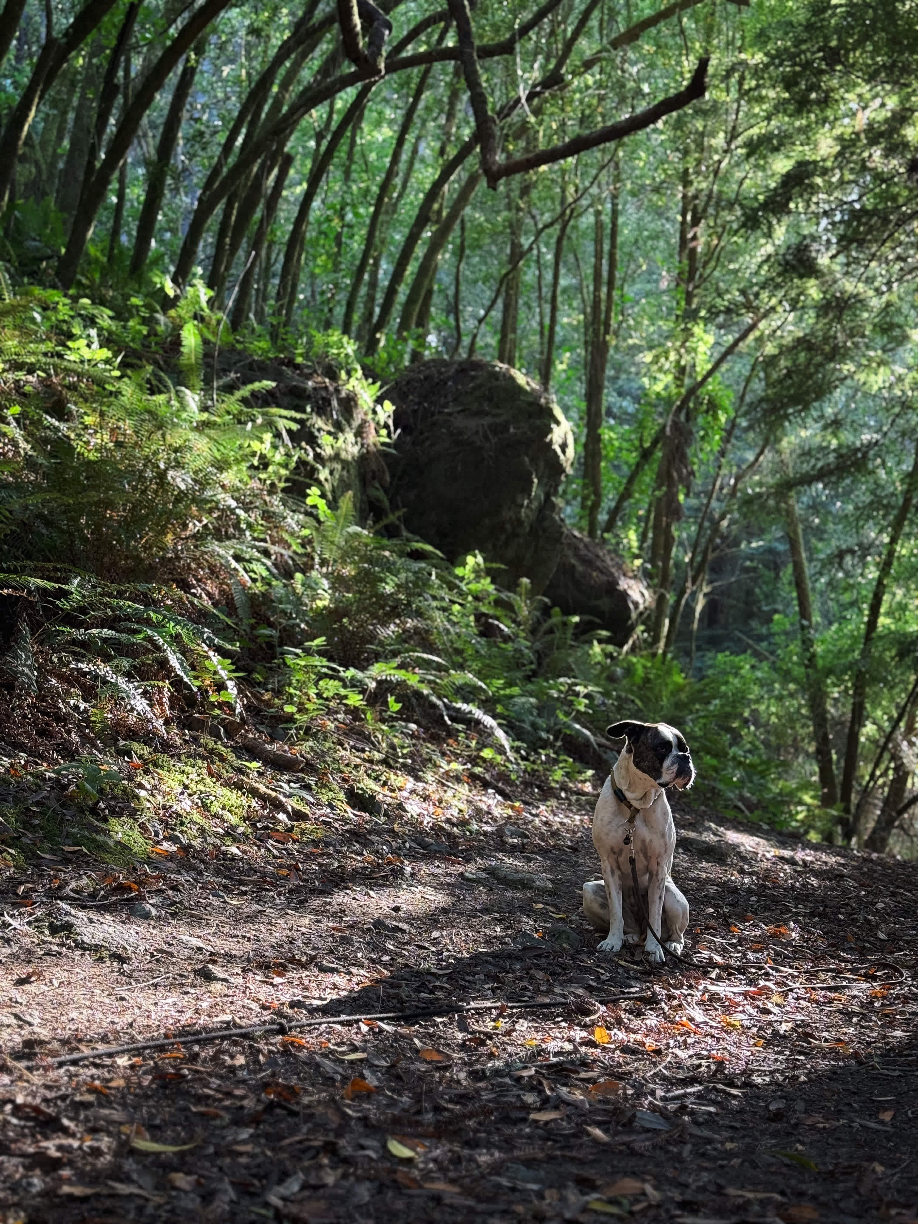 One of our hikes around the property