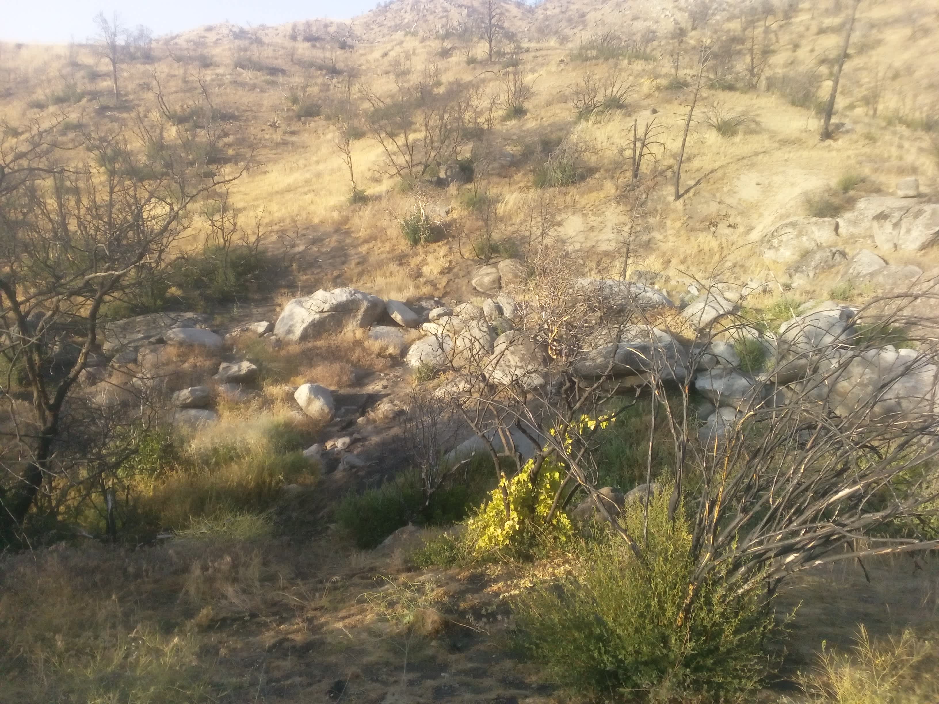 D-9 Eagle Rock