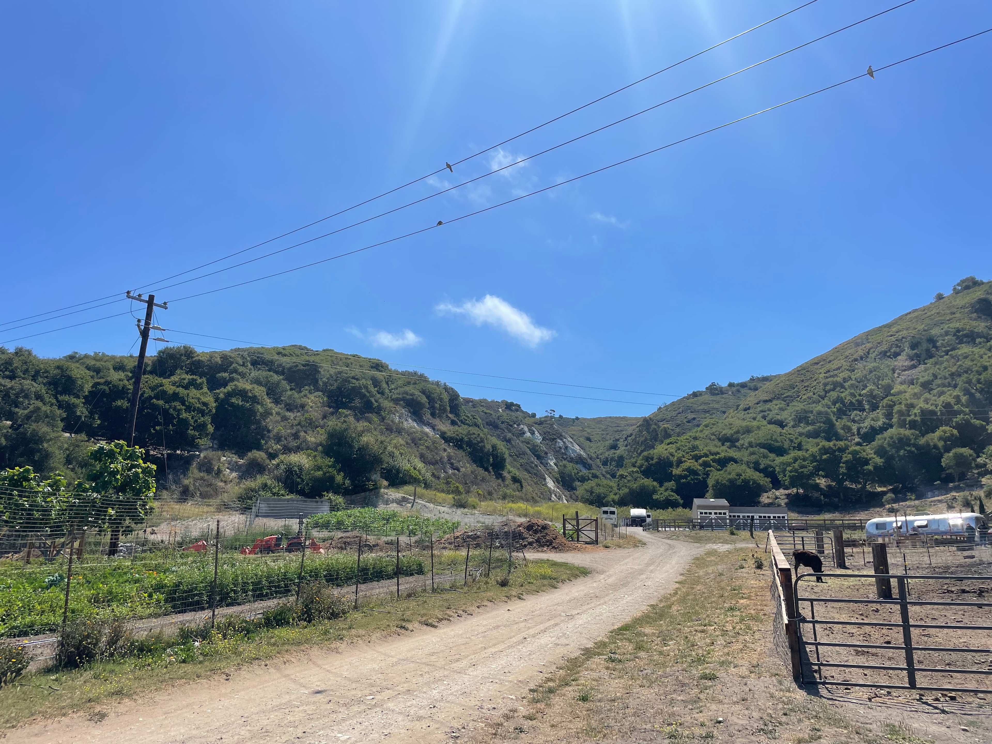 Dare 2 Dream Farms