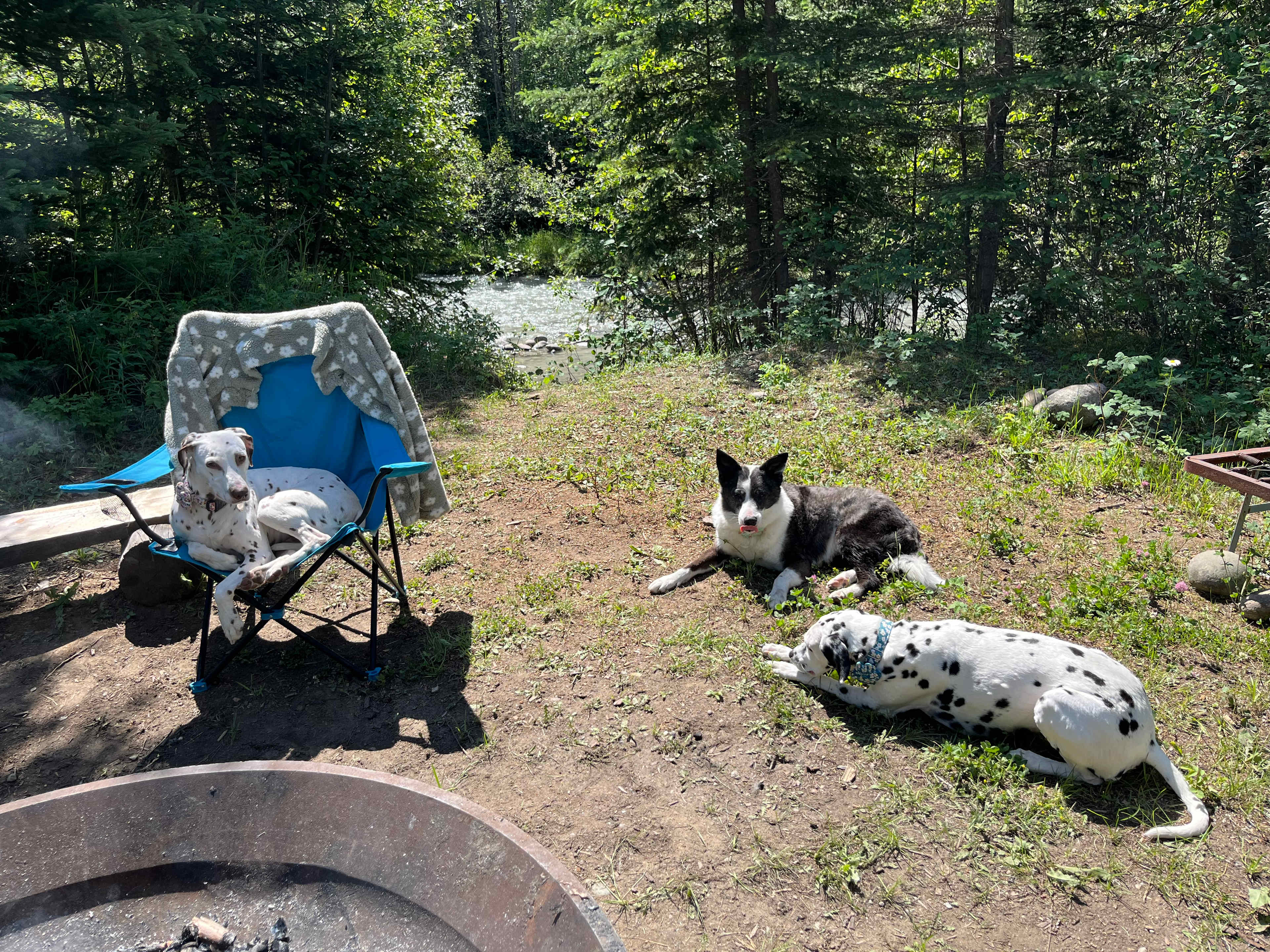 The creek when the water is high runs just a few steps down from the campsite. Our dogs loved playing in this creek, and we enjoyed it ourselves, though the water is COLD!! 