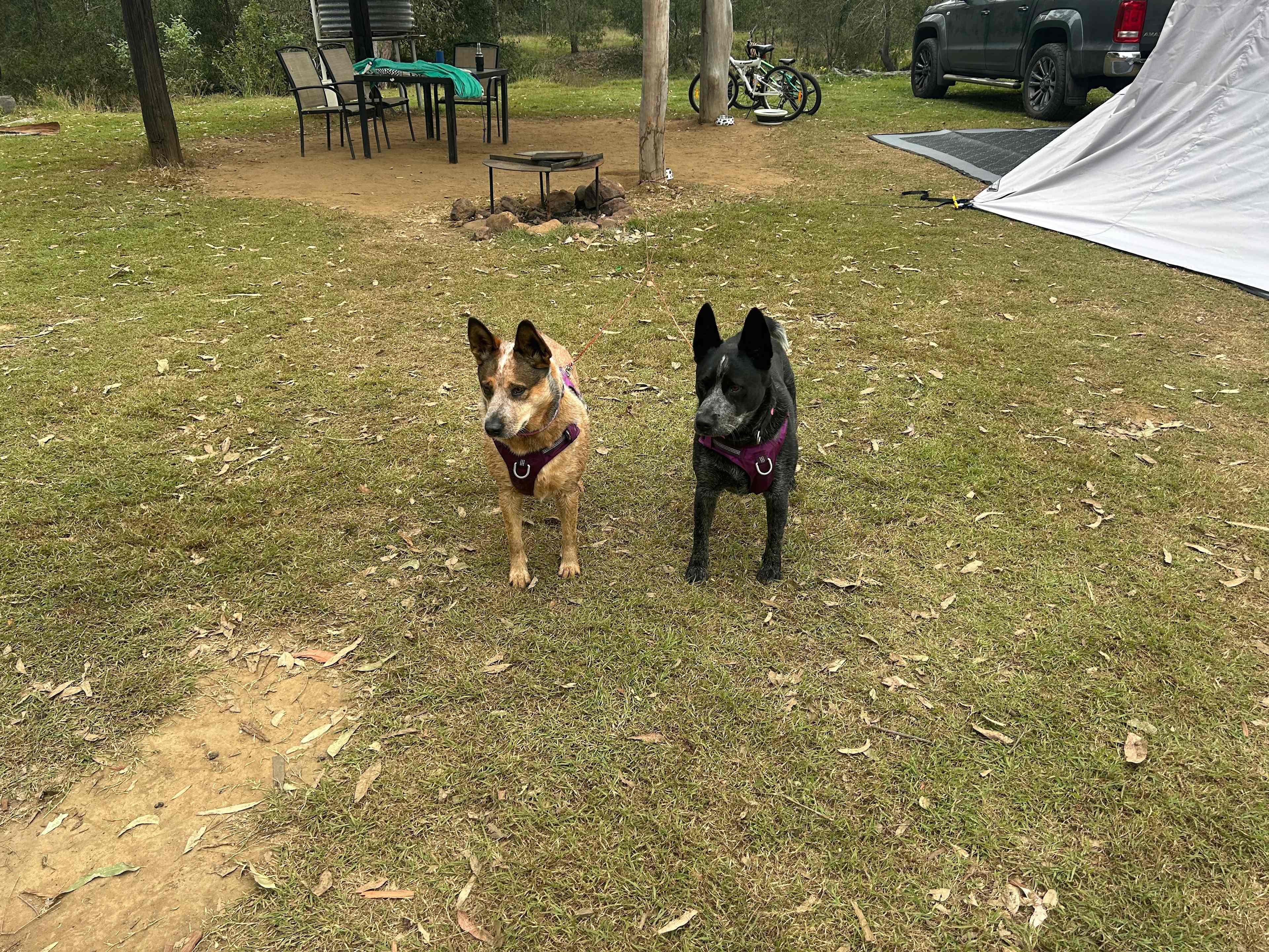 Sandy Creek Camping