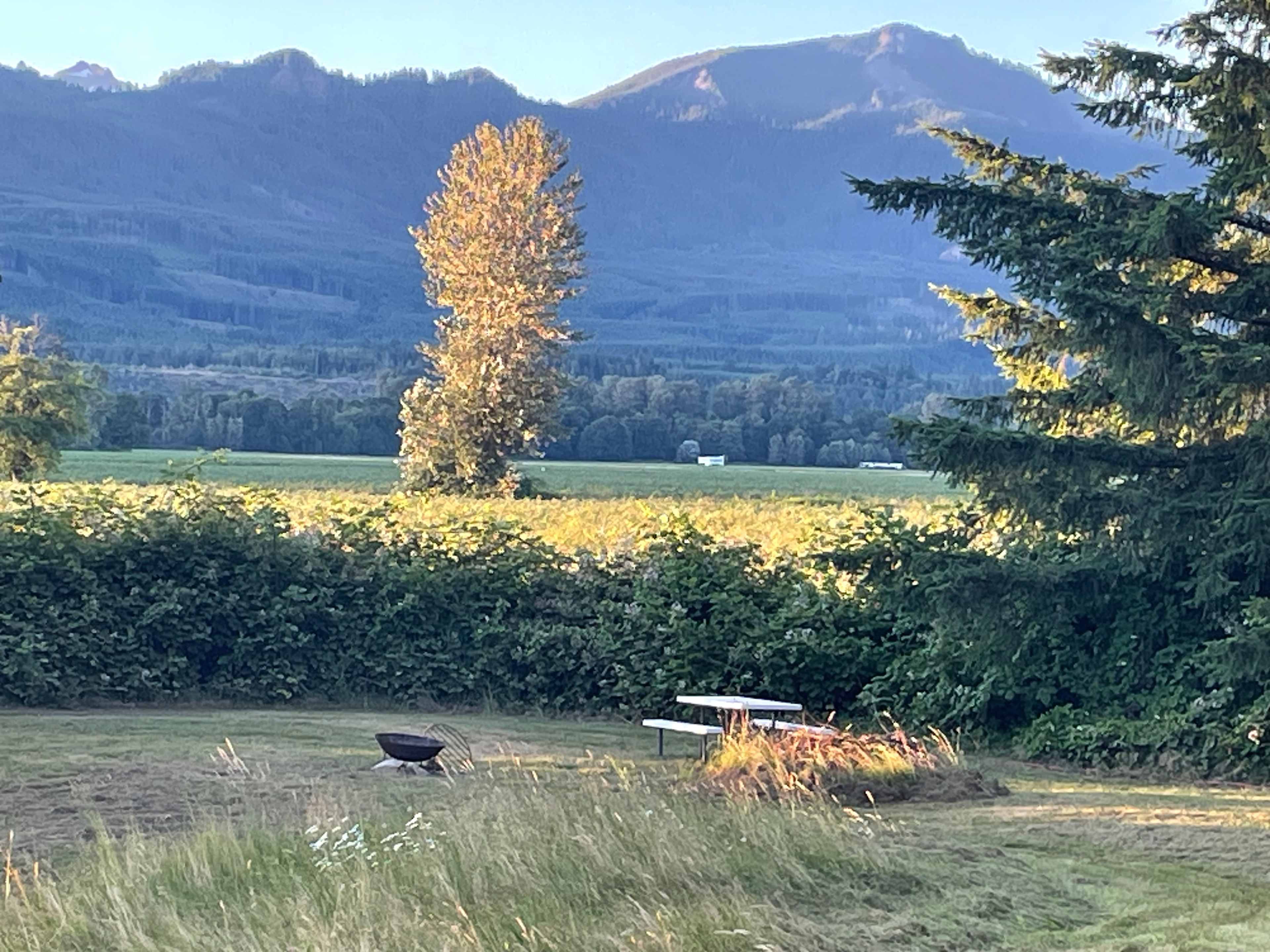 Skagit river camping and sauna