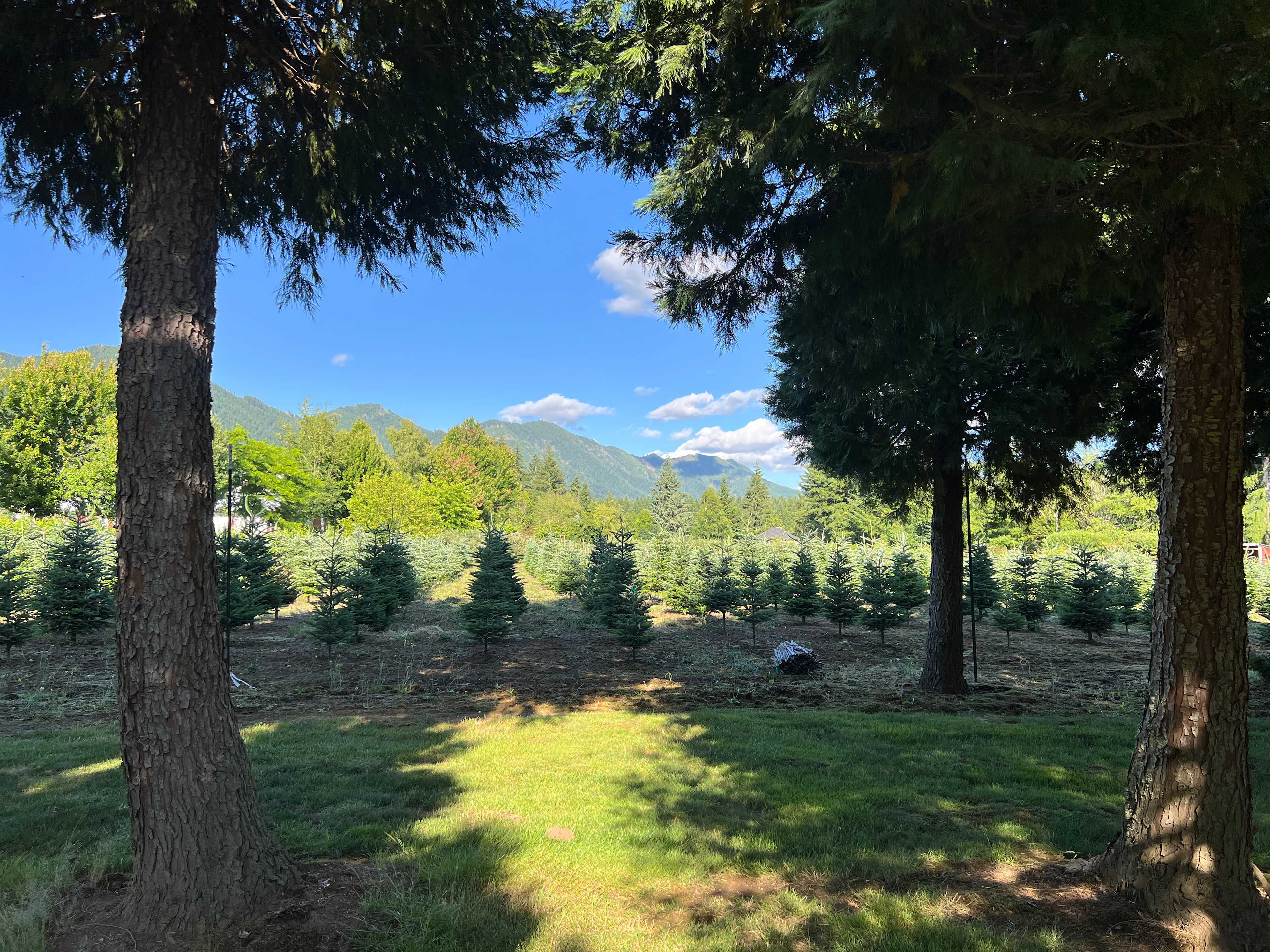 The Arboretum at Bear Canyon West