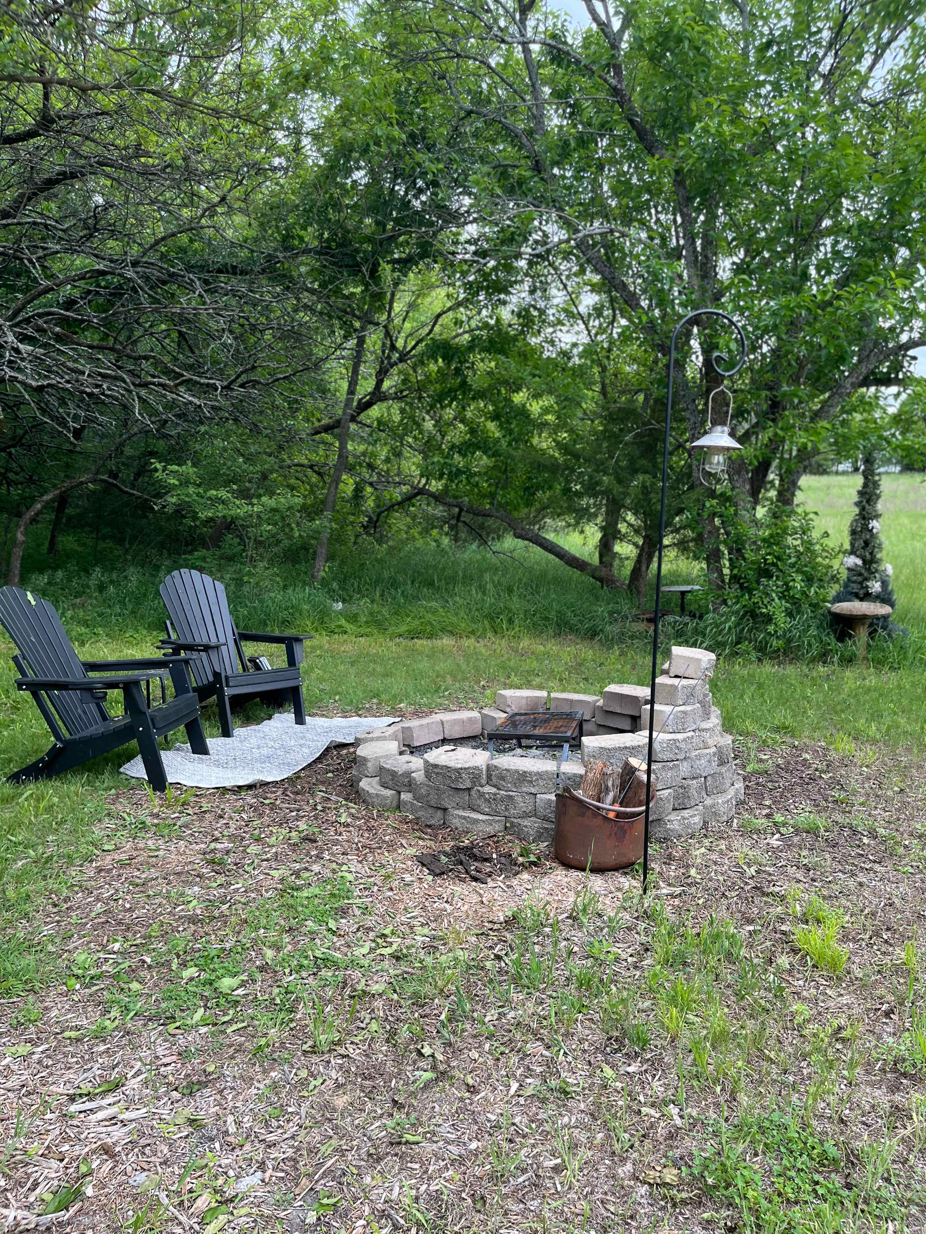 The Little Forest Nest