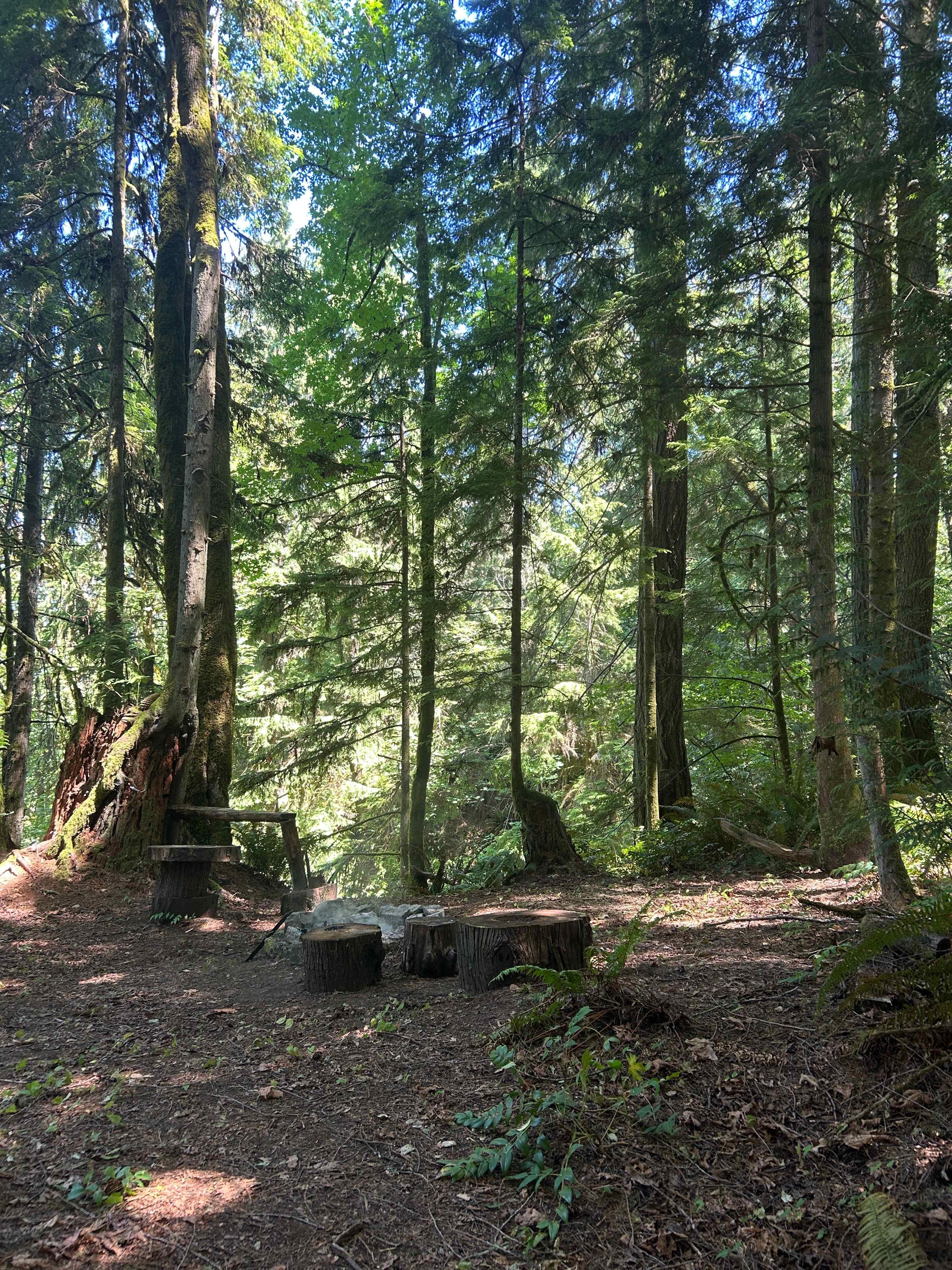 Curley Creek Canyon