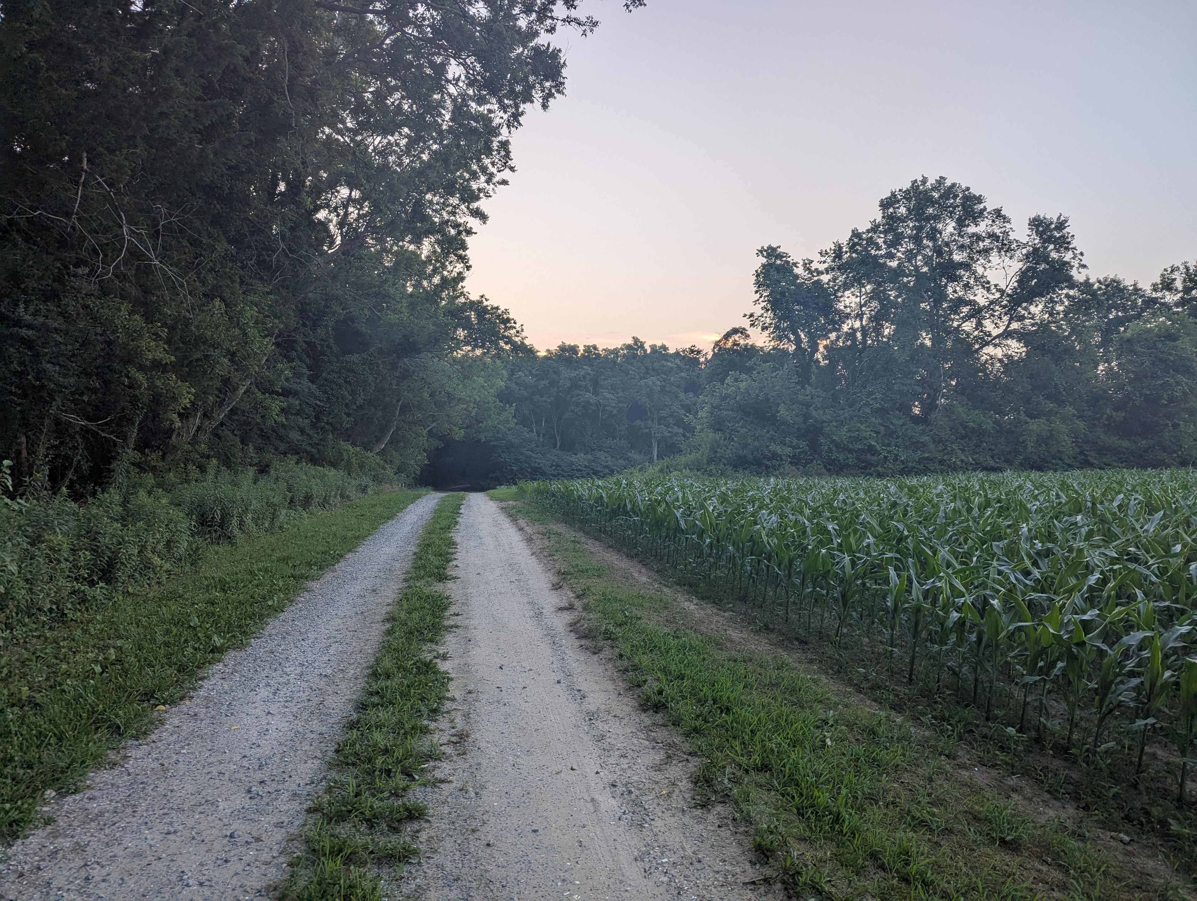 Watershed Woods