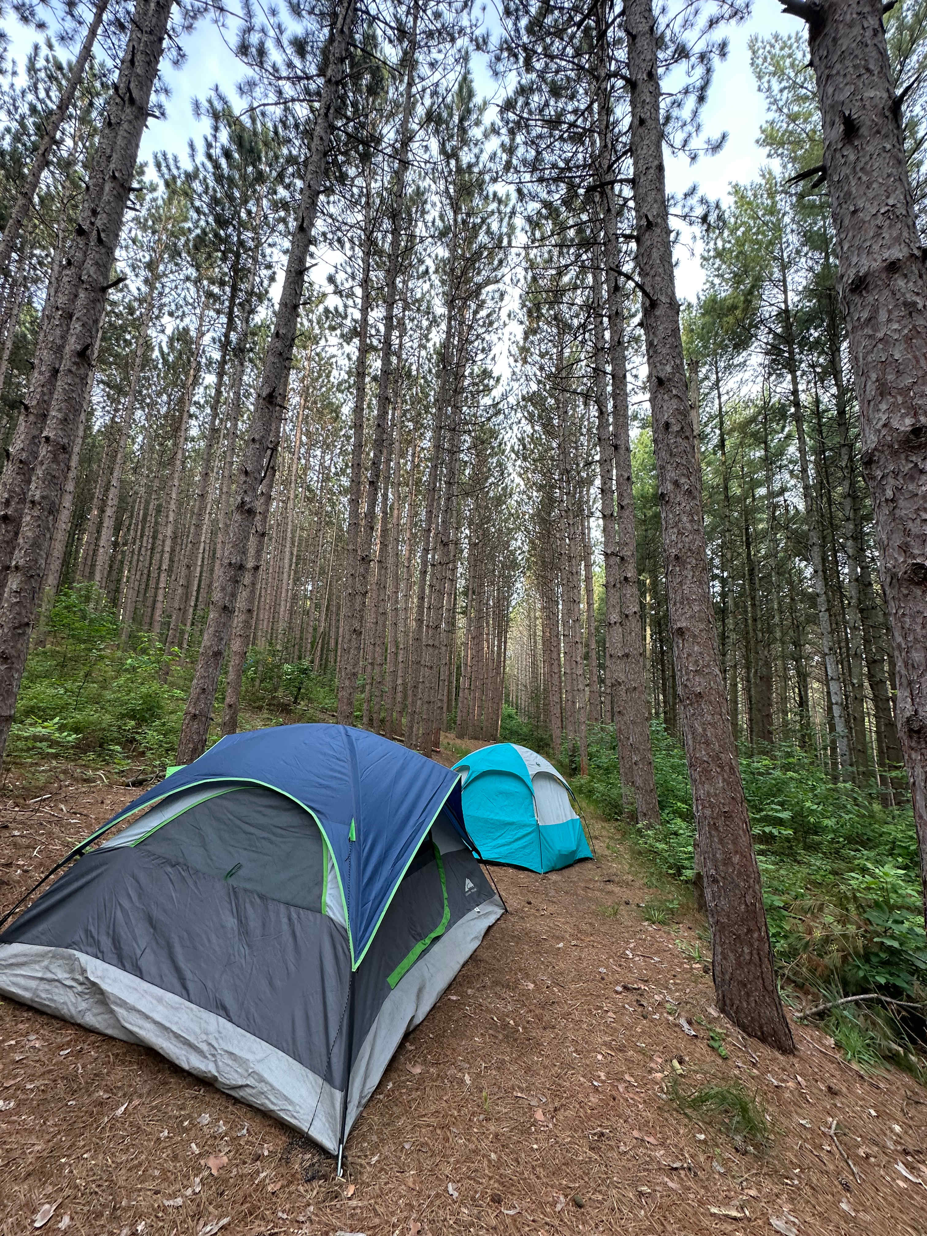 Camp Moonshadow