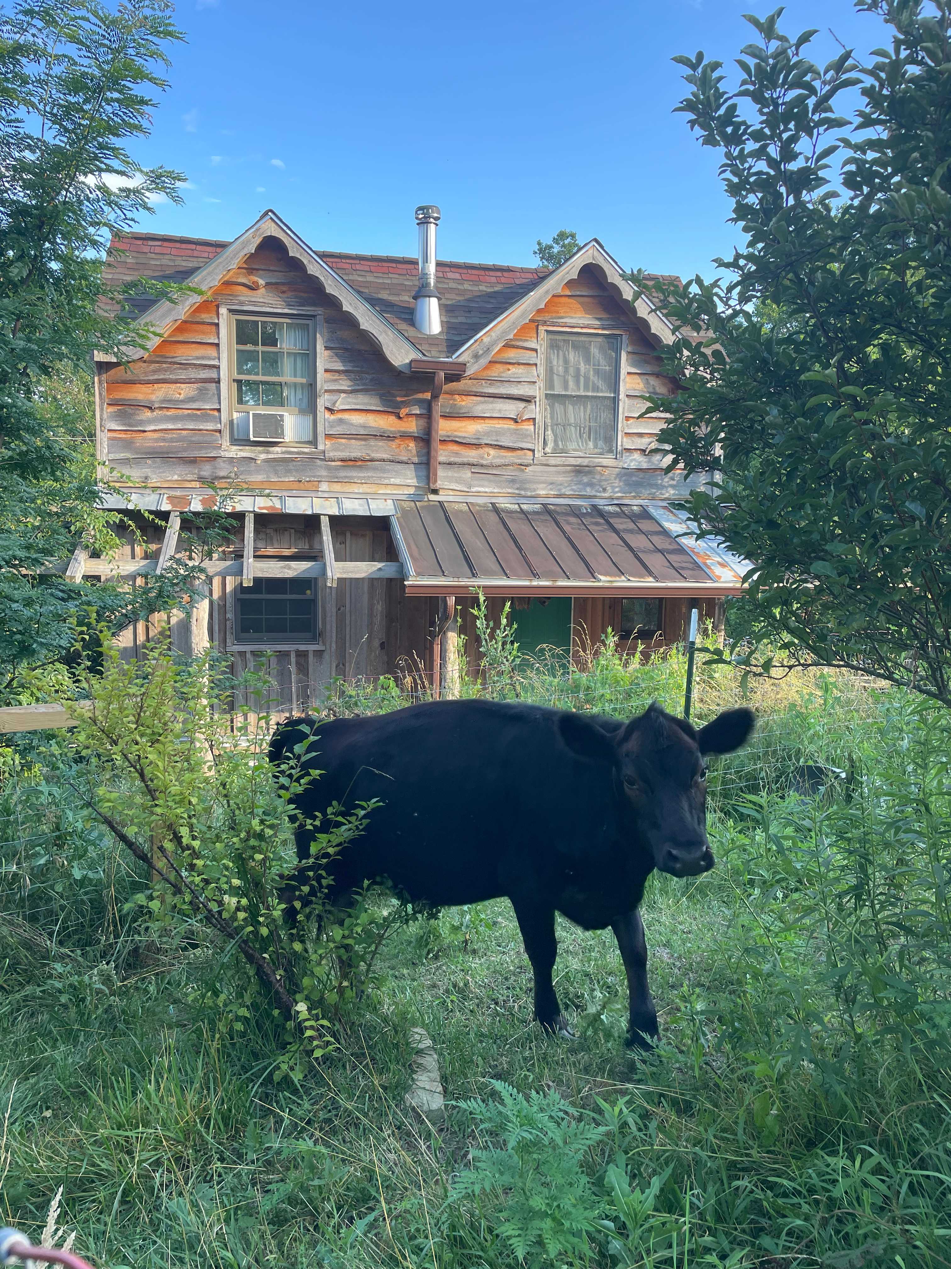 Our friendly neighbor