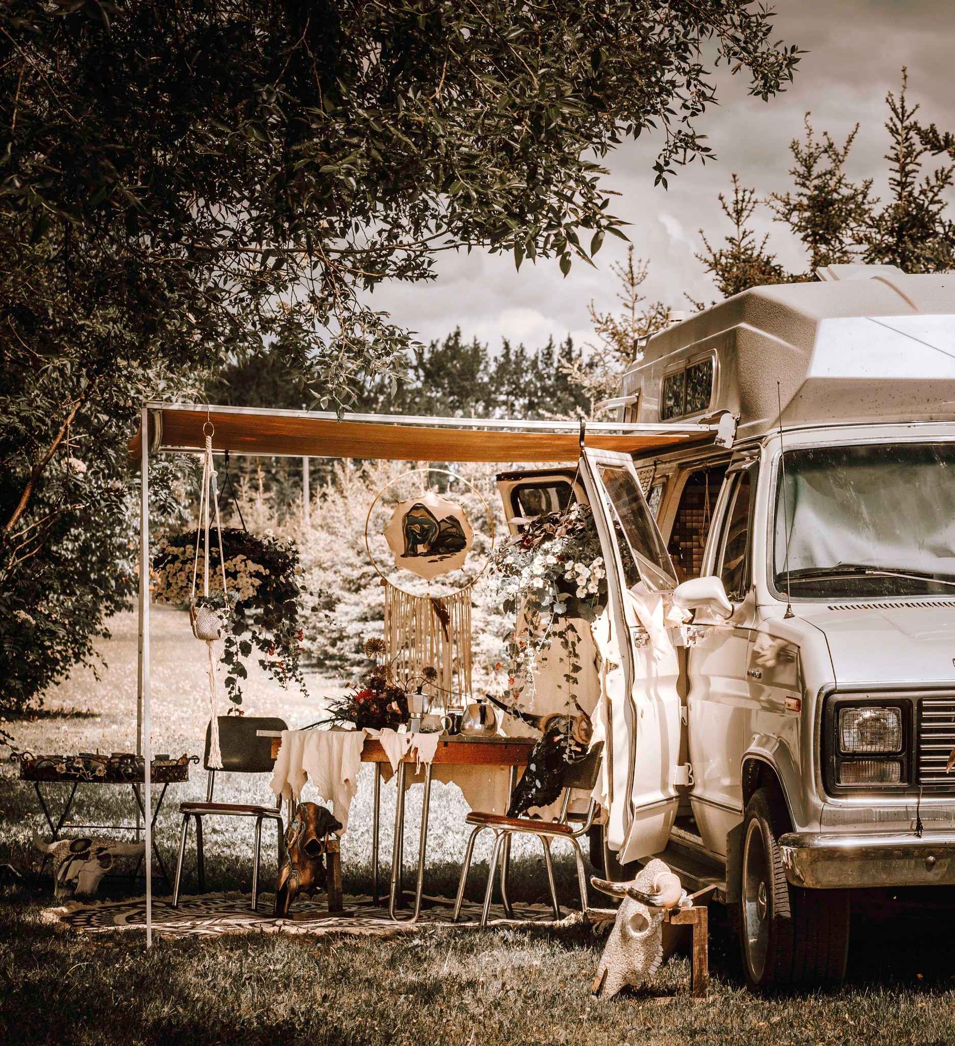 Experience a Stay at Go Hard Ranch