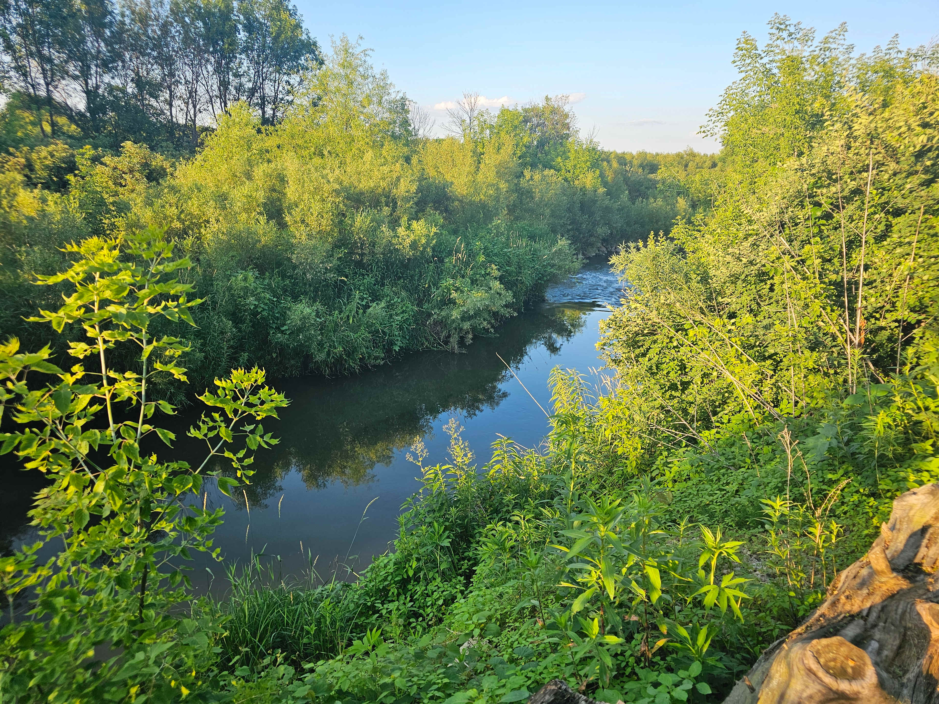 Pine River Campsites