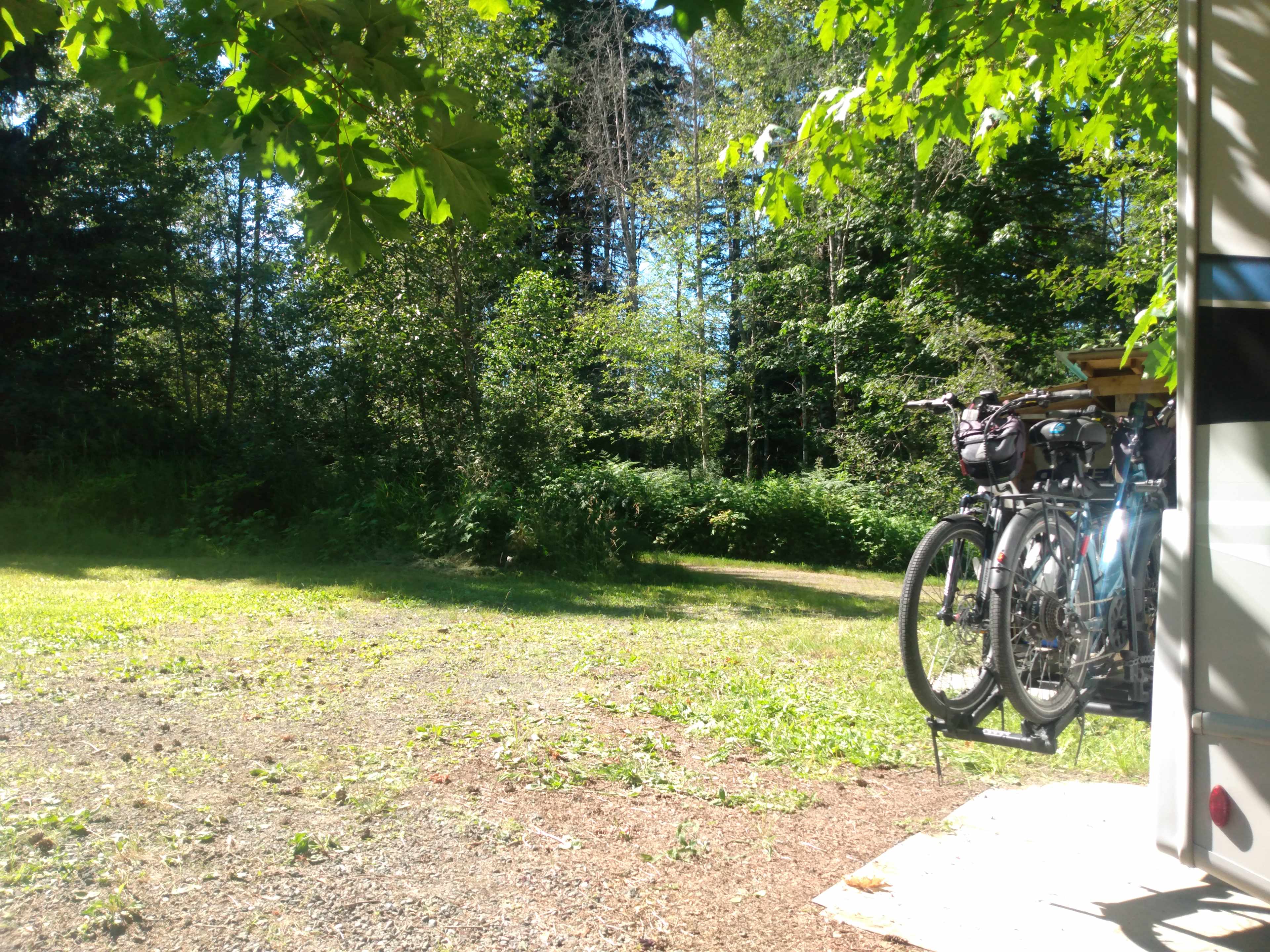 This hot day we tucked under the maple tree