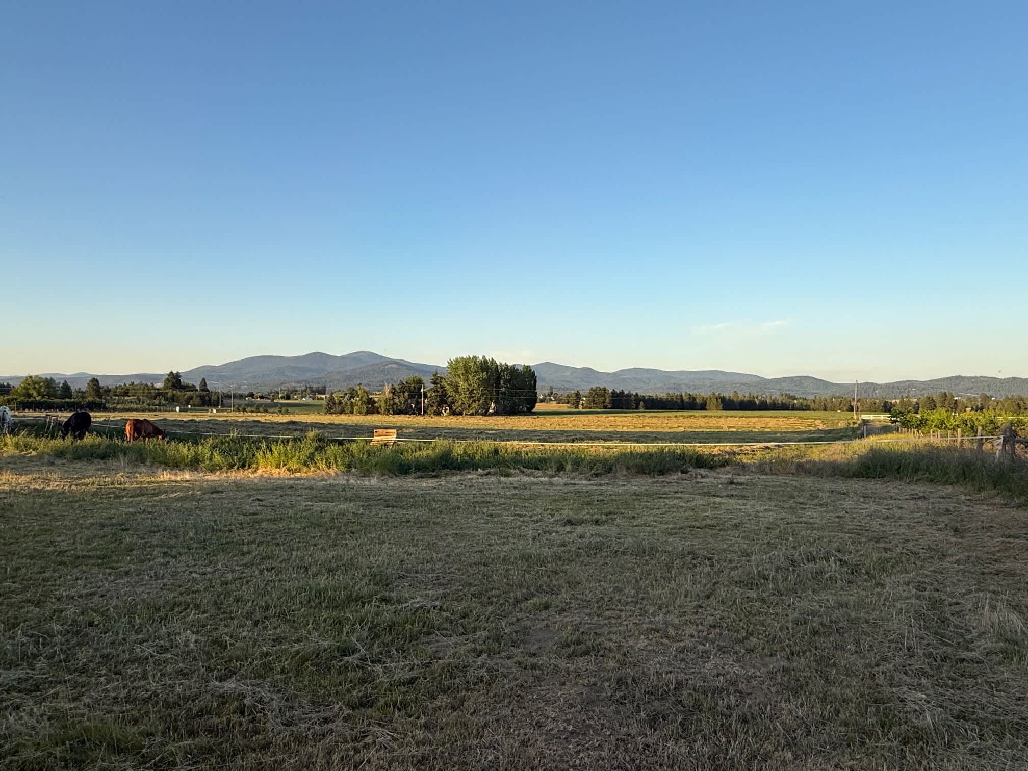 Mountain View Venue