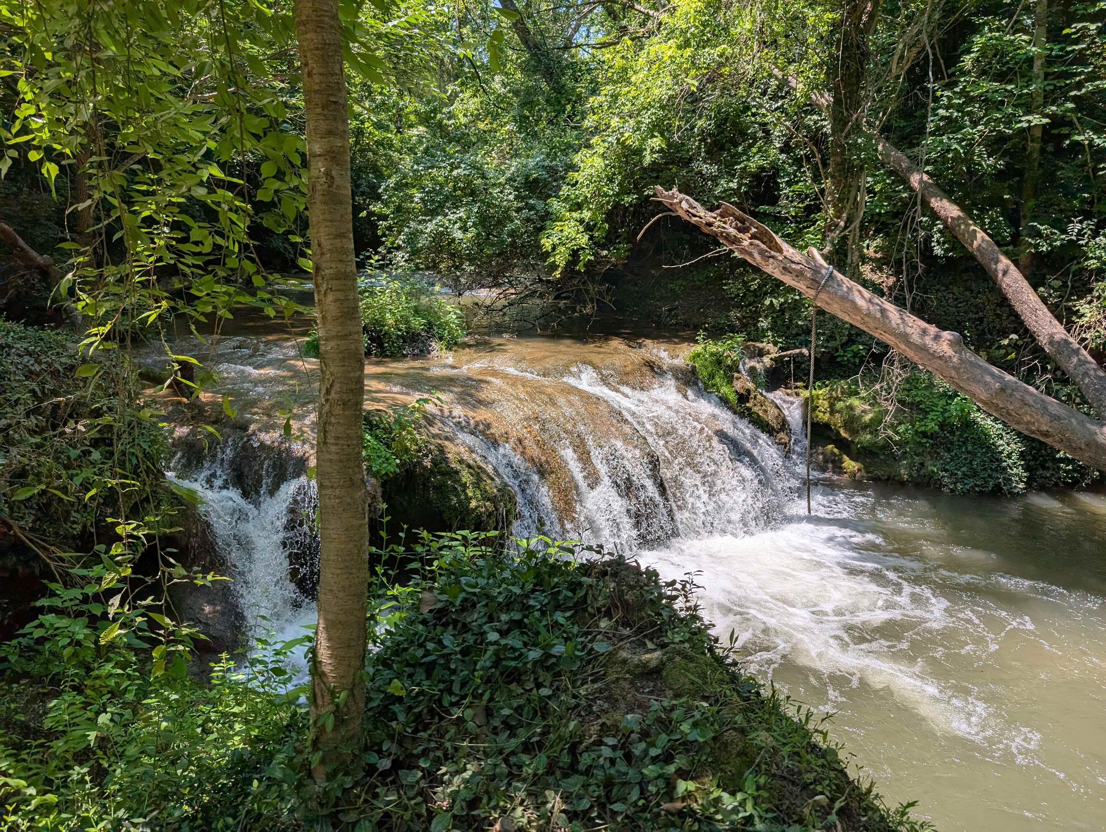 Swimming Spot!