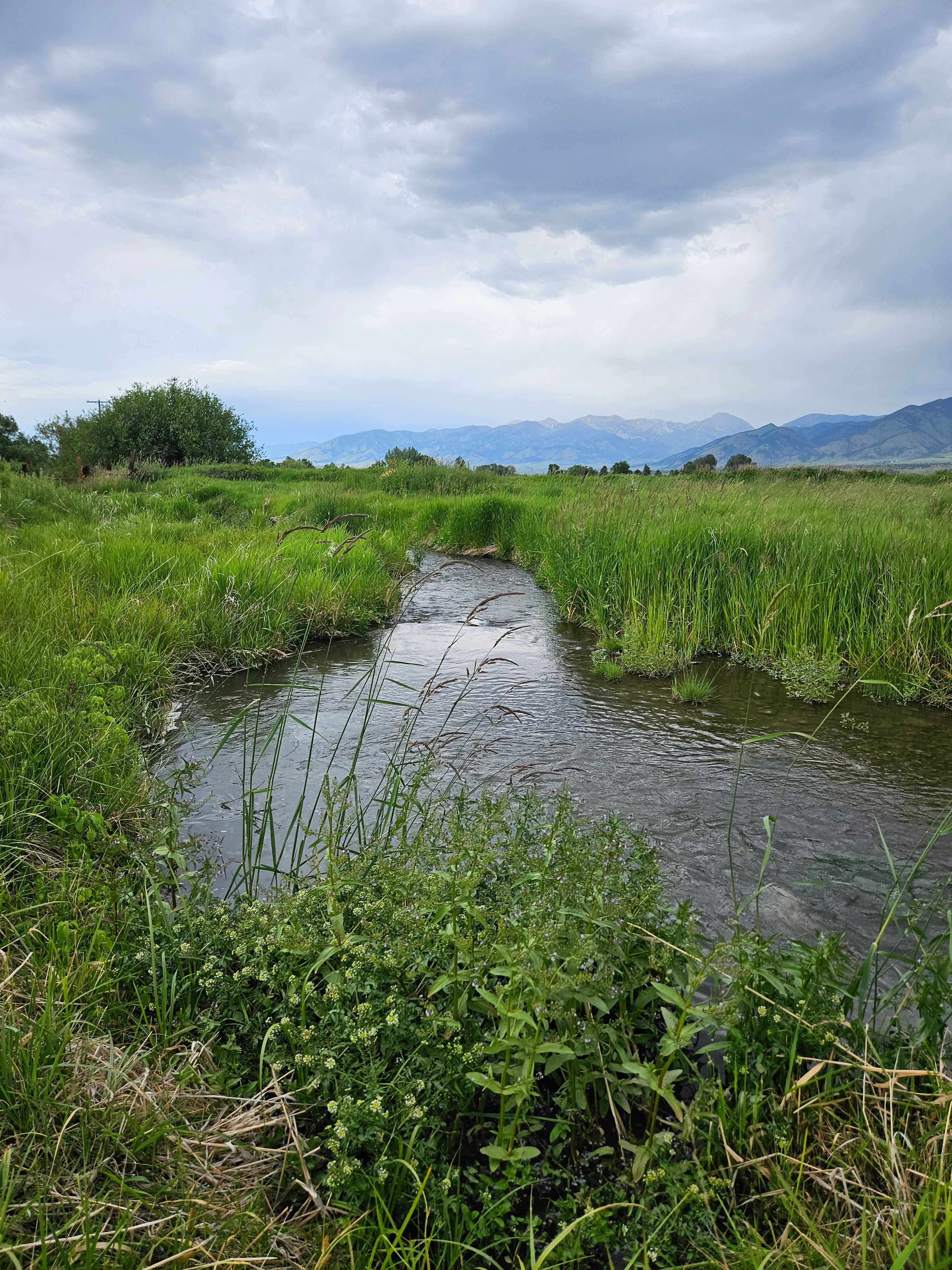 Creekside at Liberty Acres Bozeman