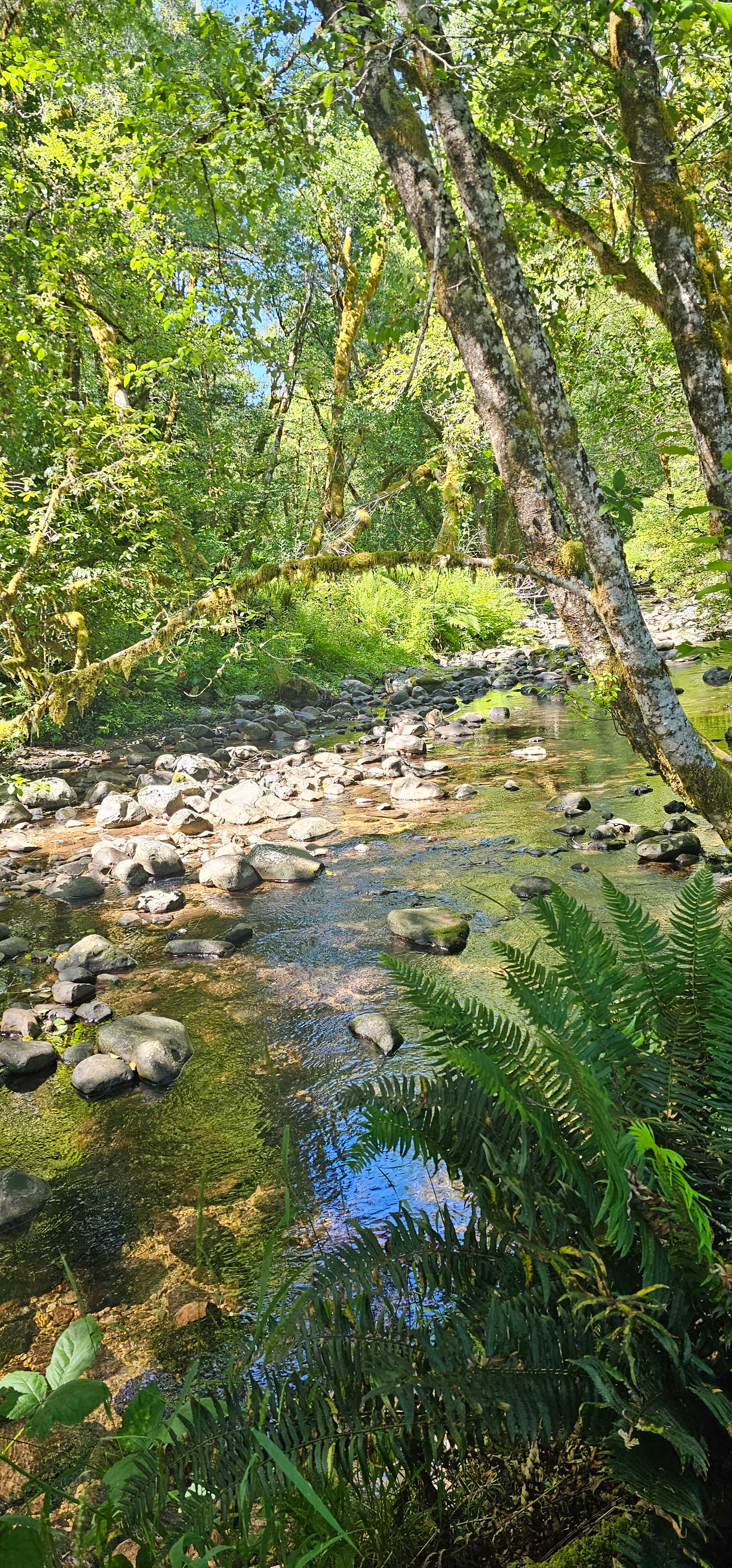 Powder Creek Campground